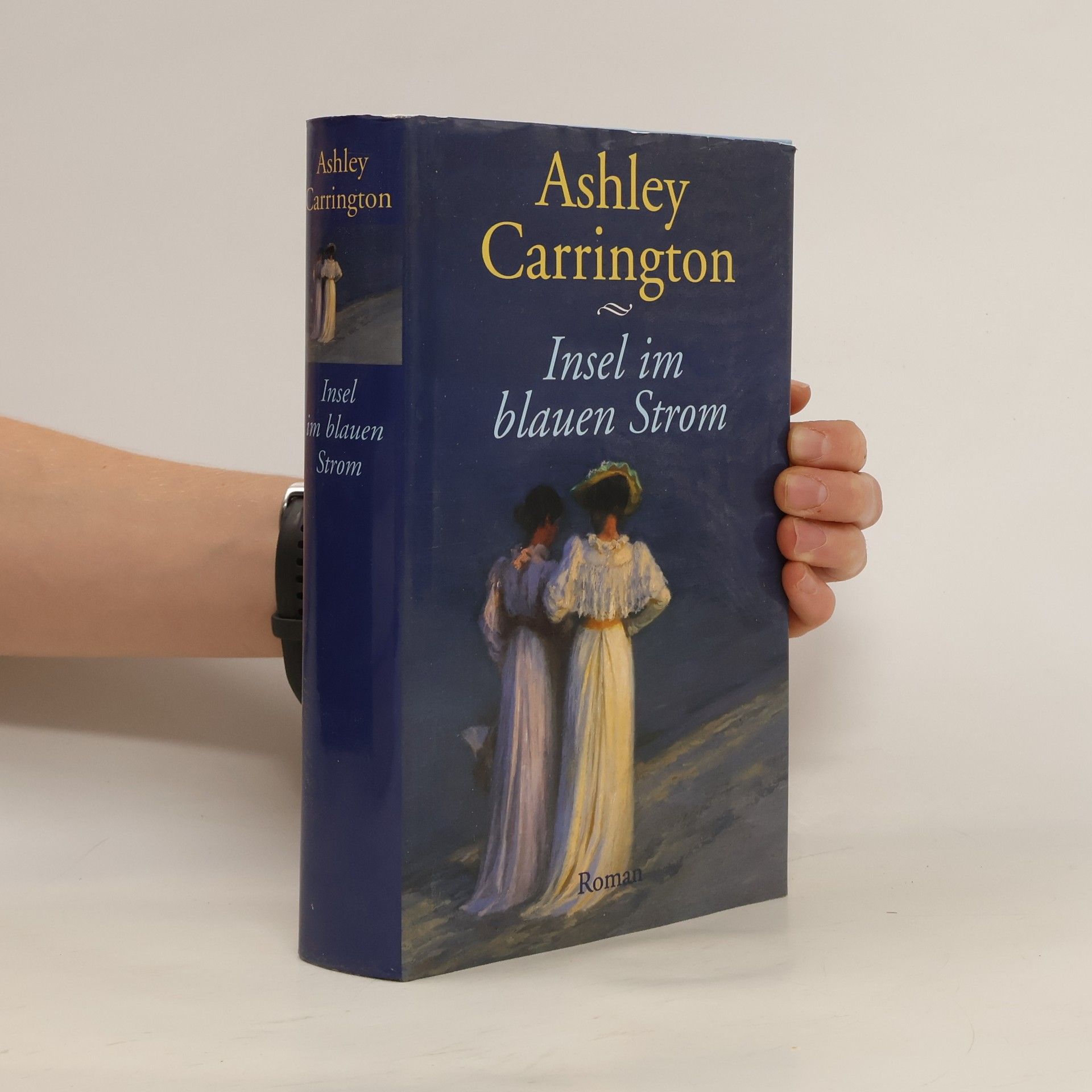 Insel im blauen Strom