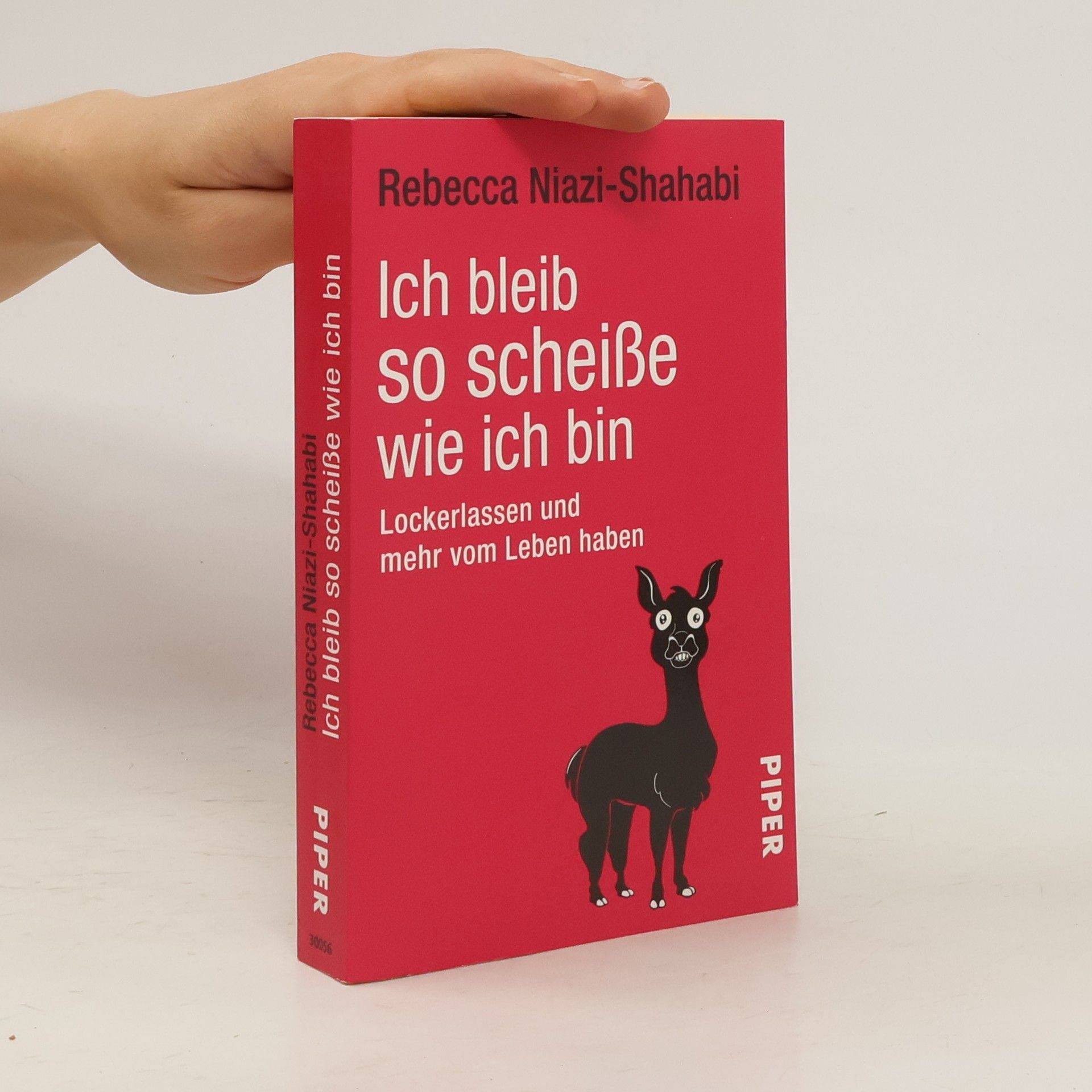 Rebecca Niazi-Shahabi Ich bleib so scheiße wie ich bin