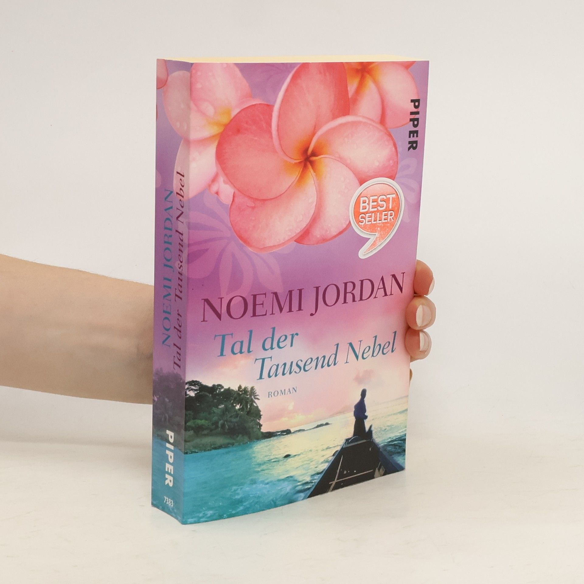 Nicole Joens Tal der Tausend Nebel