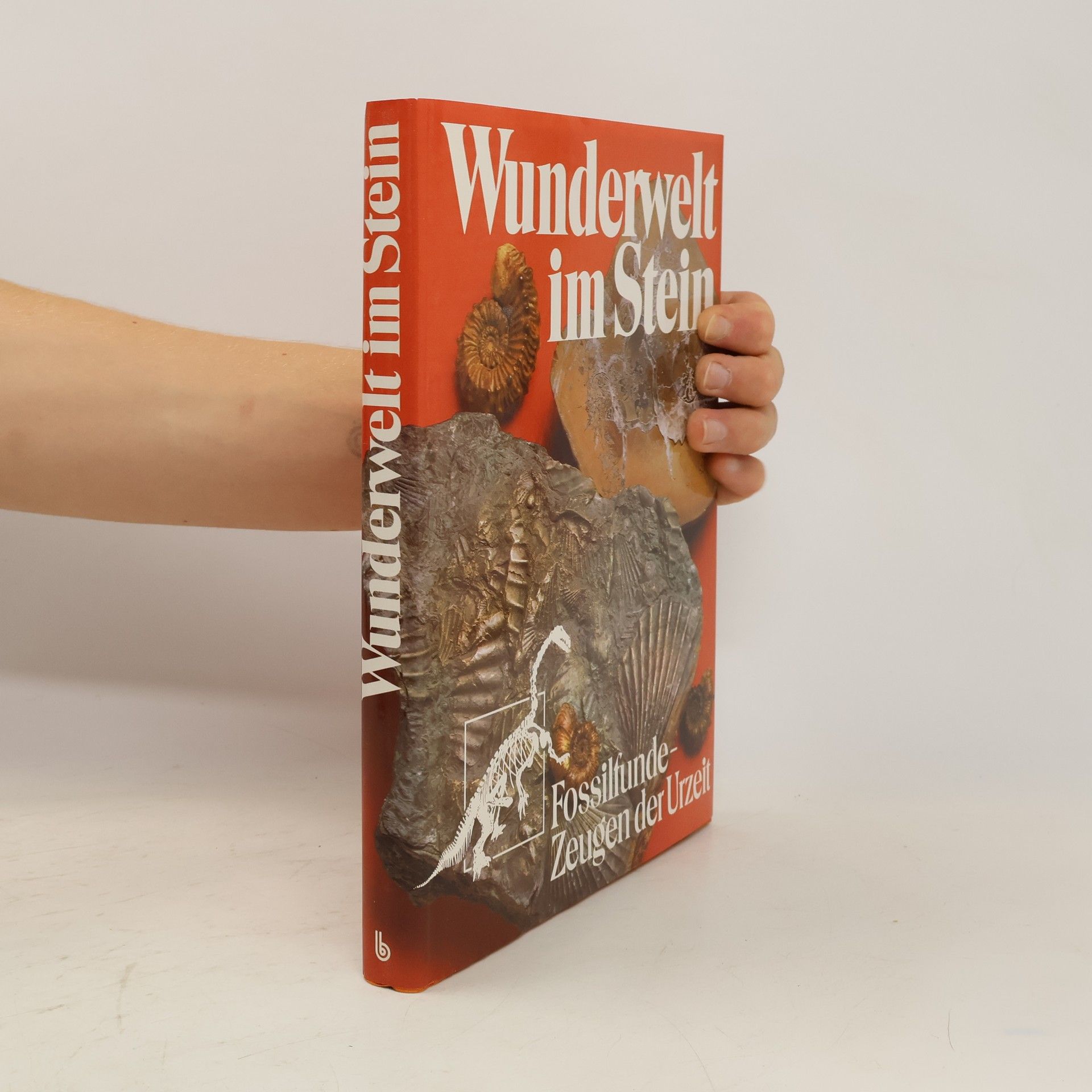 Rudolf Mundlos Wunderwelt im Stein