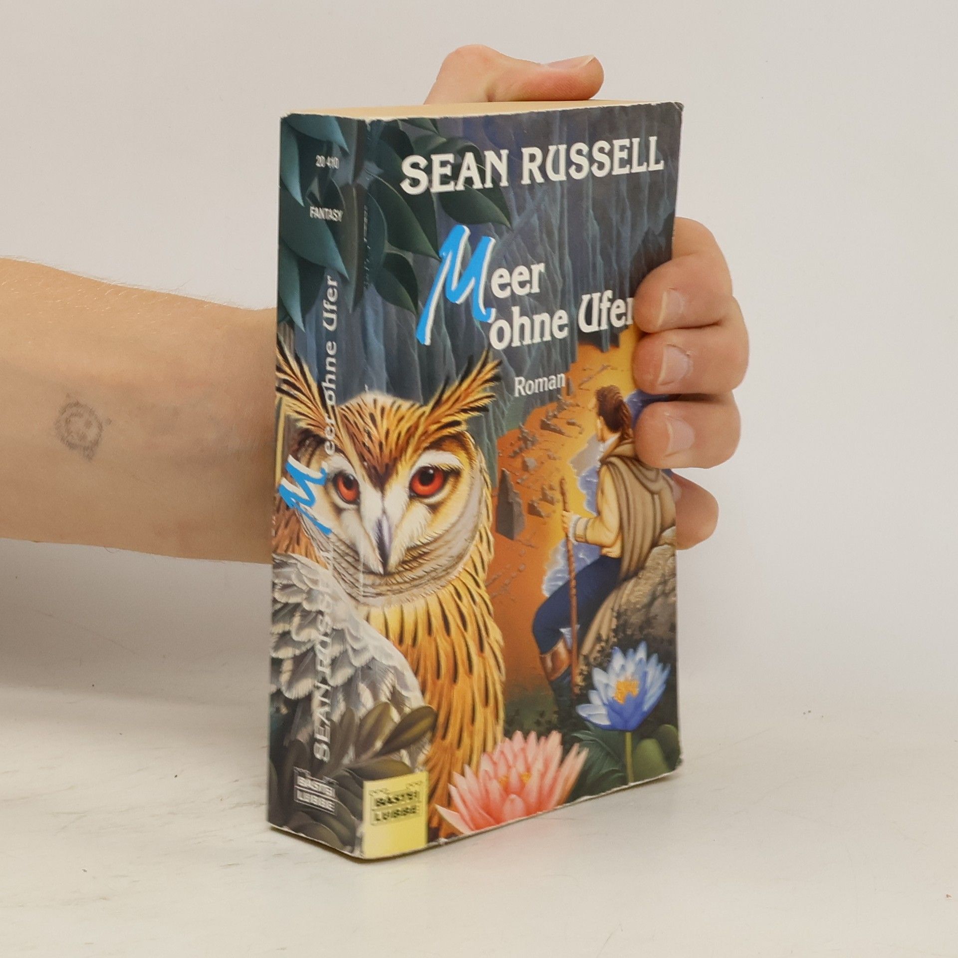 Sean Russell Meer ohne Ufer