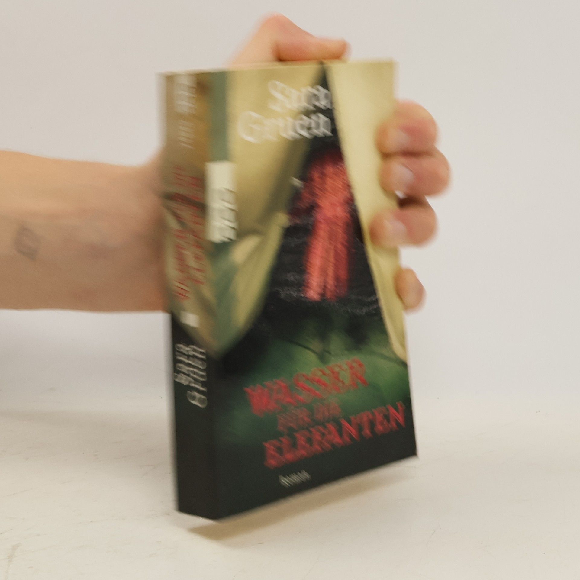 Sara Gruen Wasser für die Elefanten
