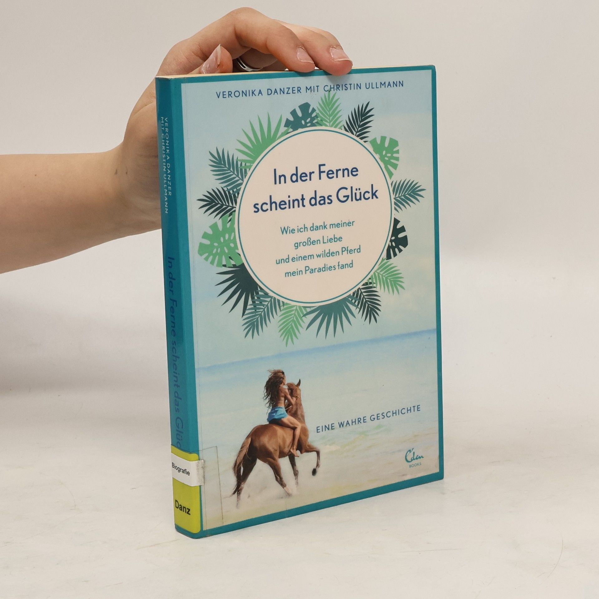 Veronika Danzer In der Ferne scheint das Glück