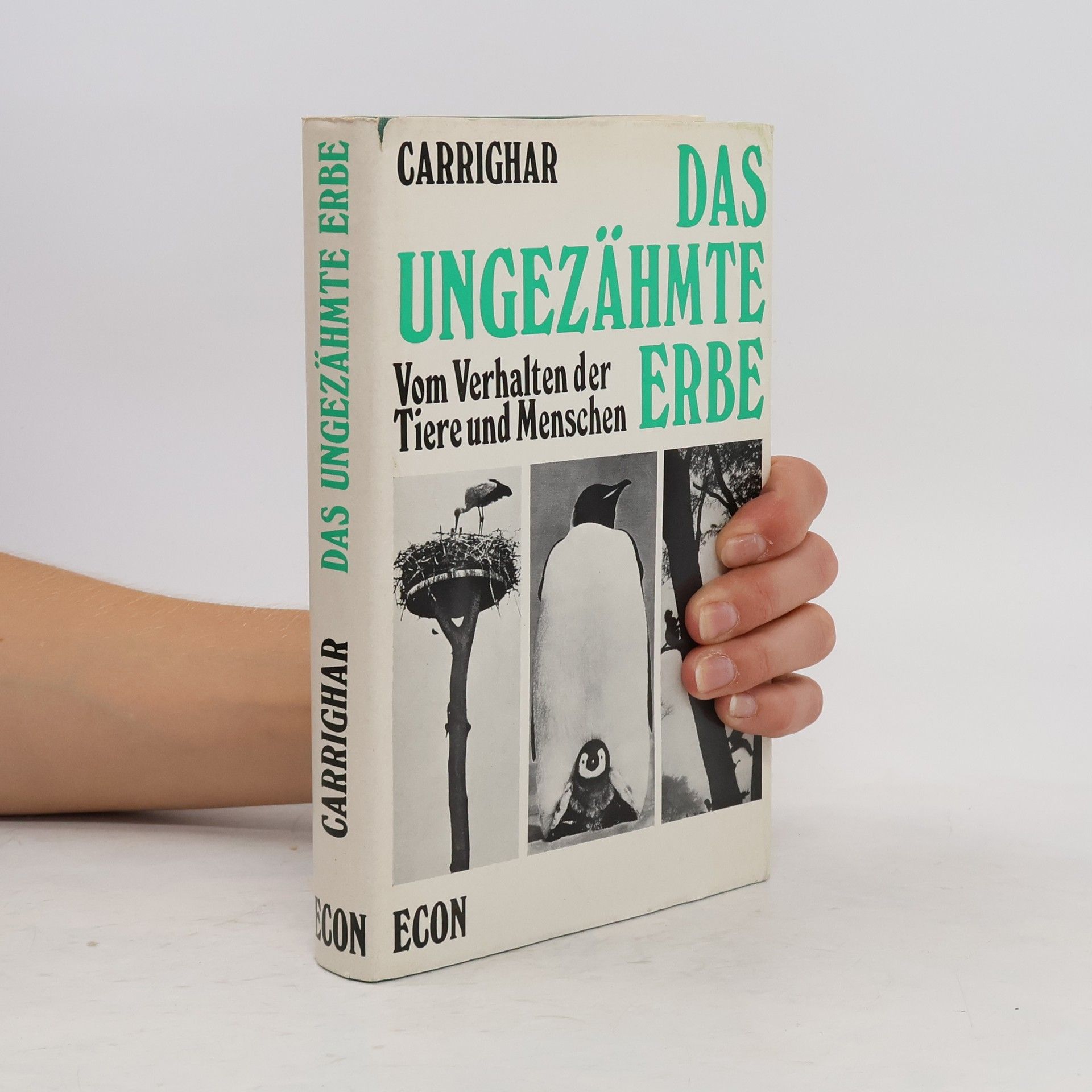 Sally Carrighar Das ungezähmte Erbe