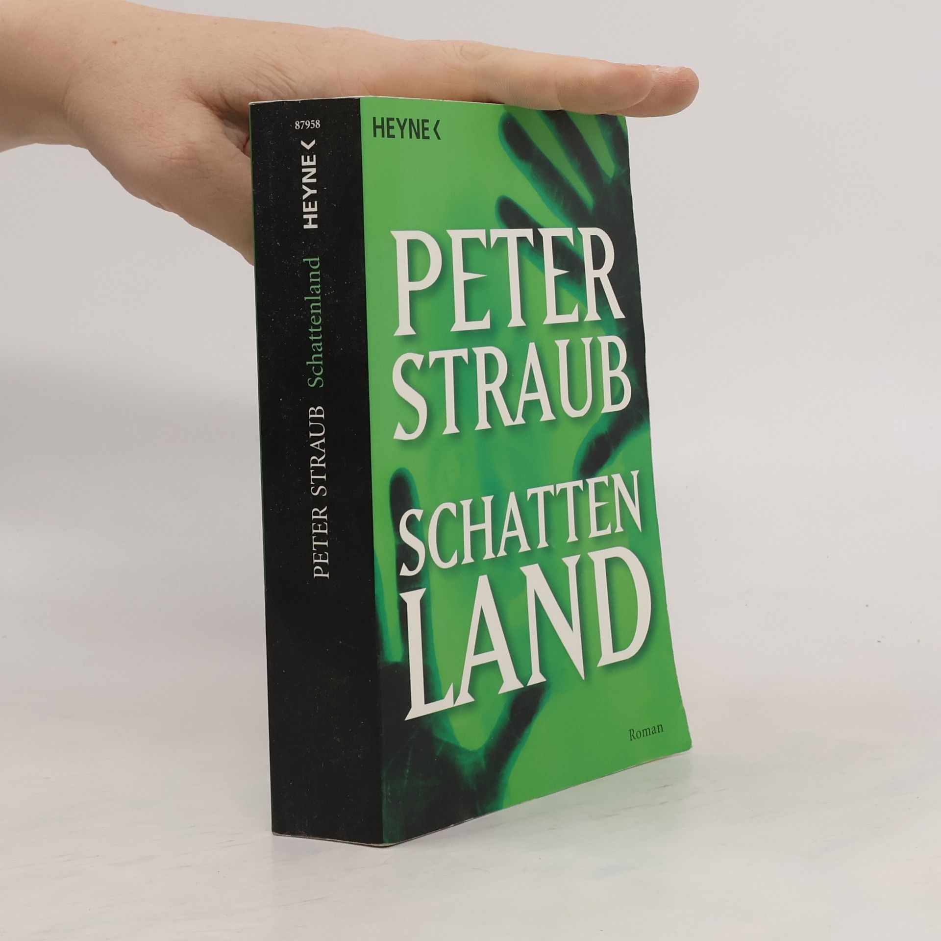 Peter Straub Schattenland
