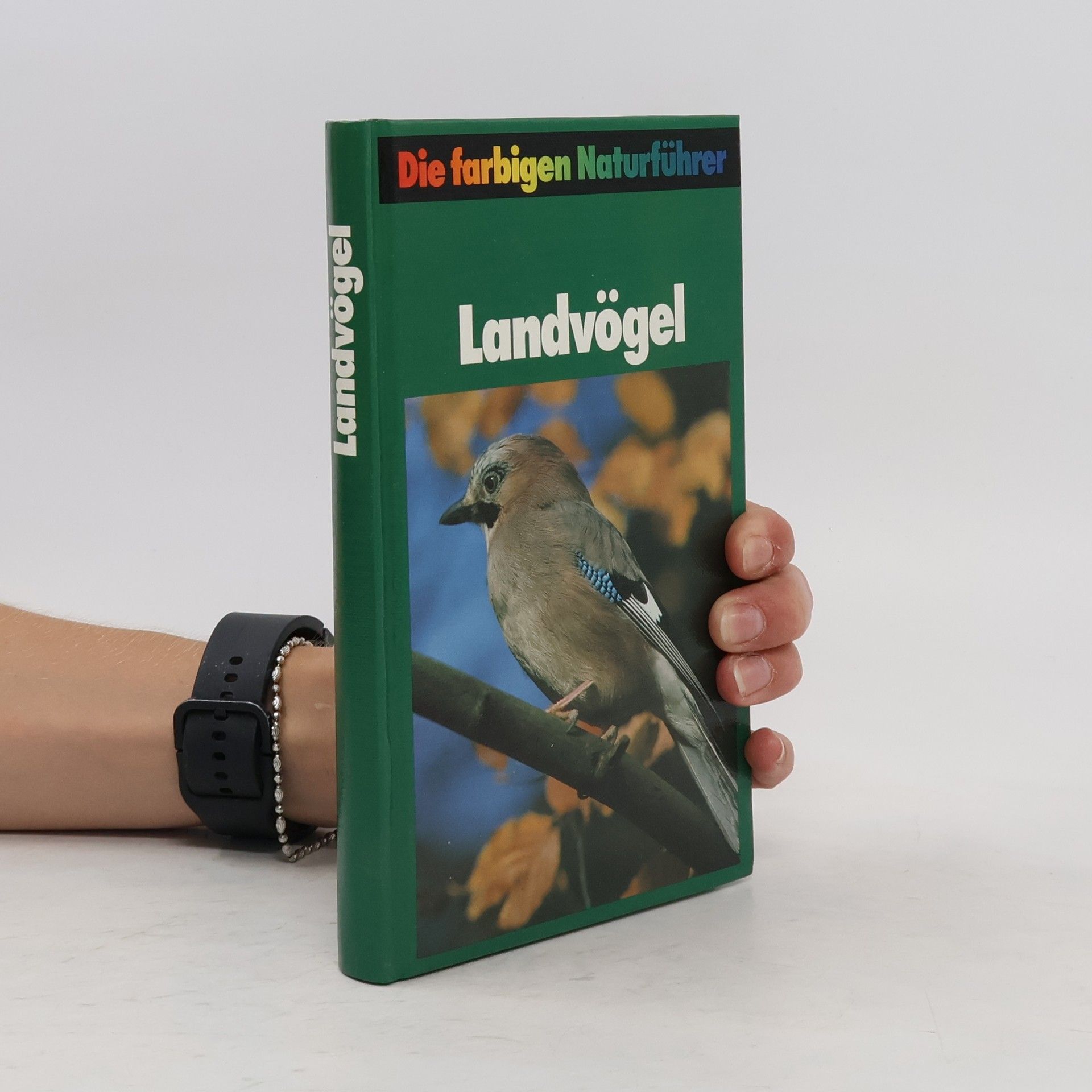 kolektiv Landvögel