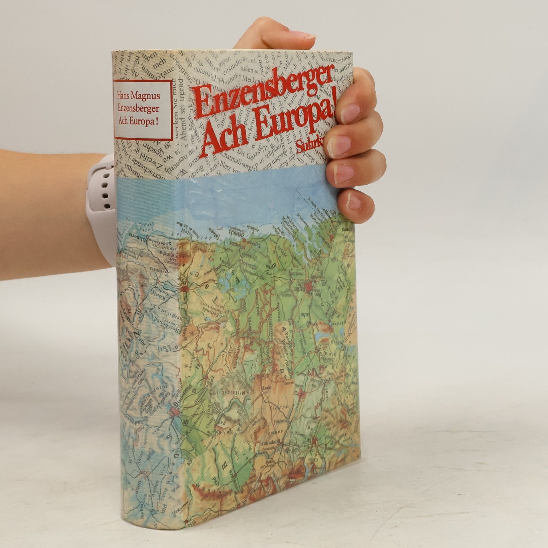 Hans Magnus Enzensberger Ach Europa!