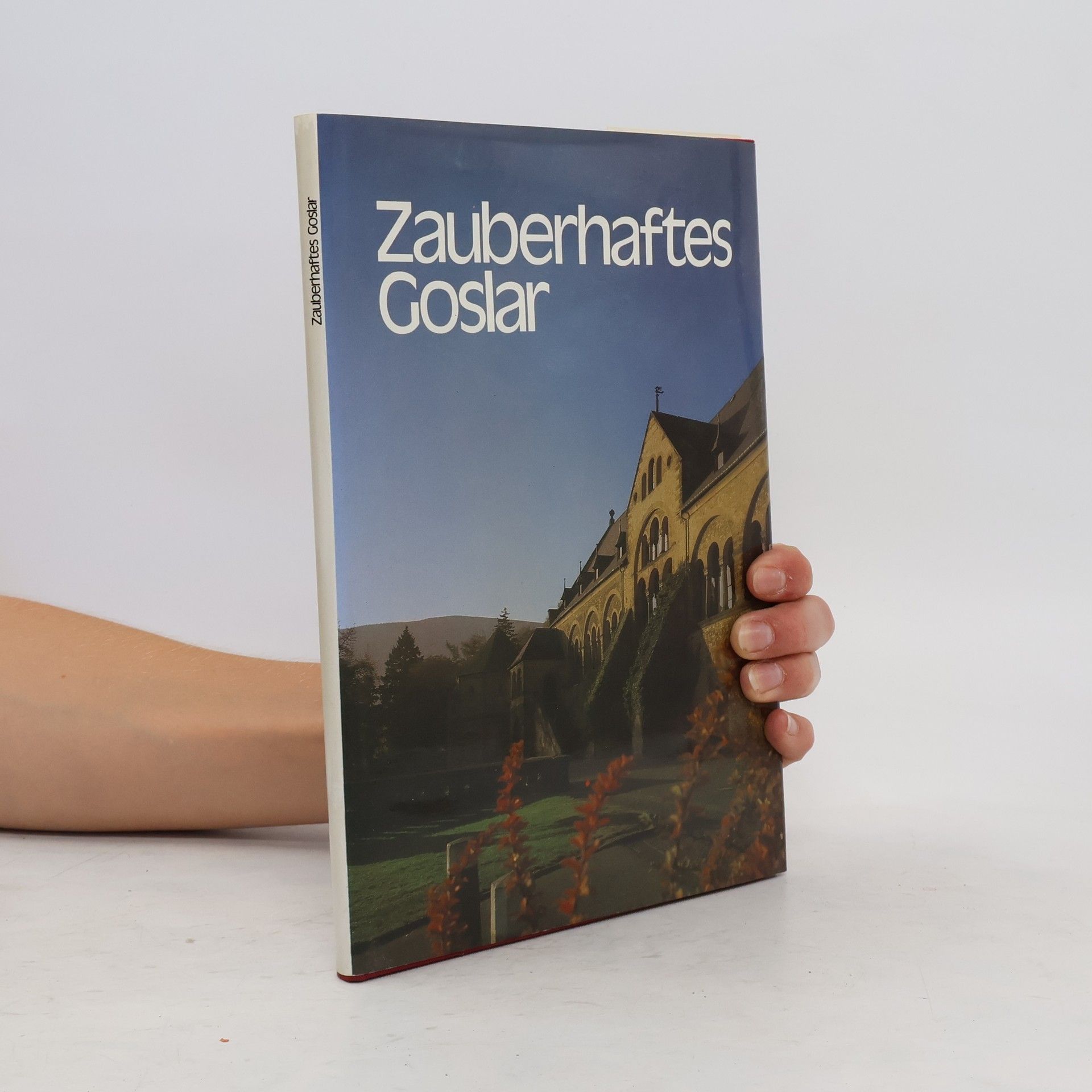 Auteurscollectief Zauberhaftes Goslar