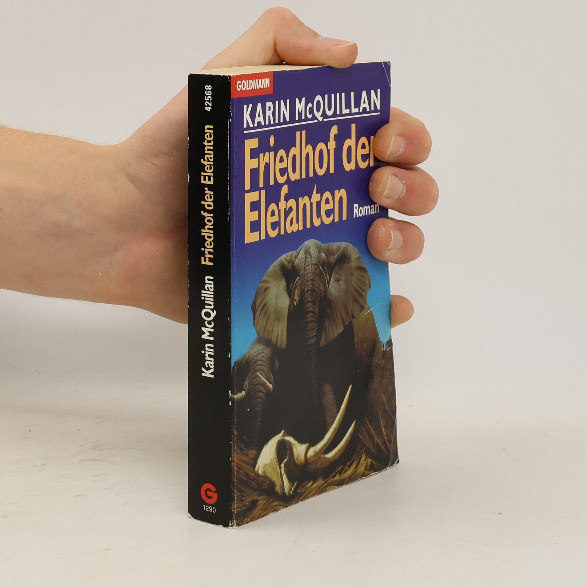 Karin MacQuillan Friedhof der Elefanten
