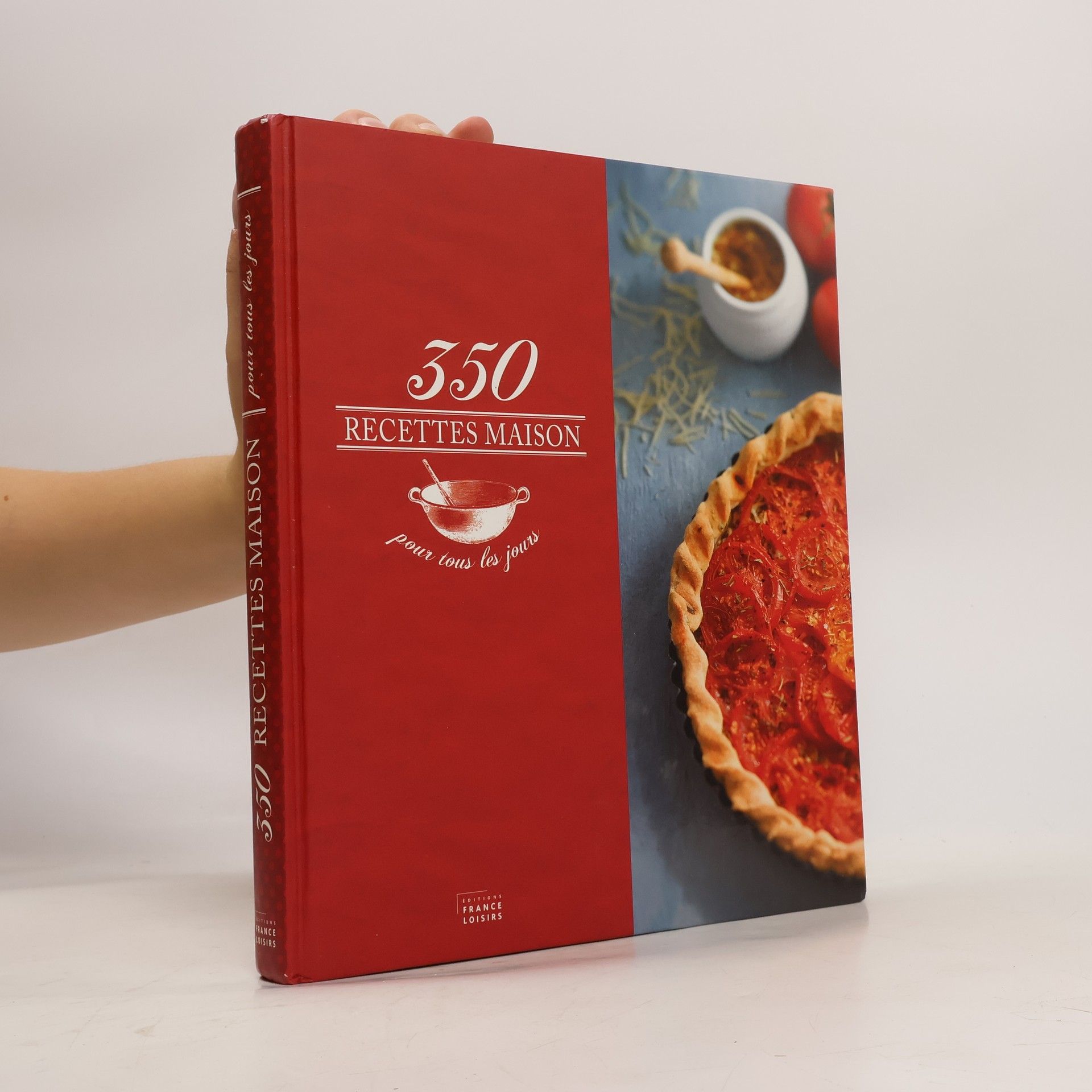 Collectif d'auteurs 350 recettes maison