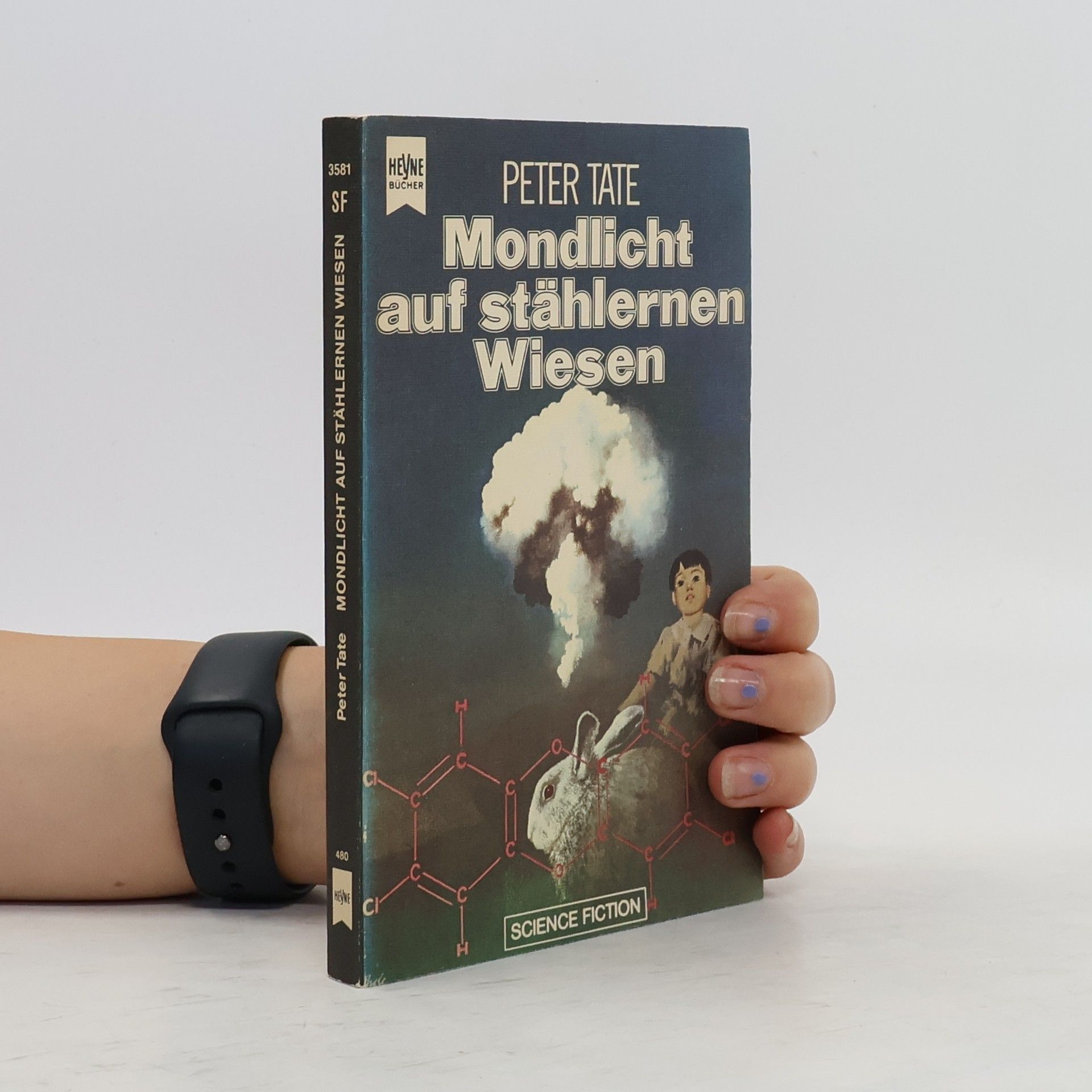 Peter Tate Mondlicht auf stählernen Wisen