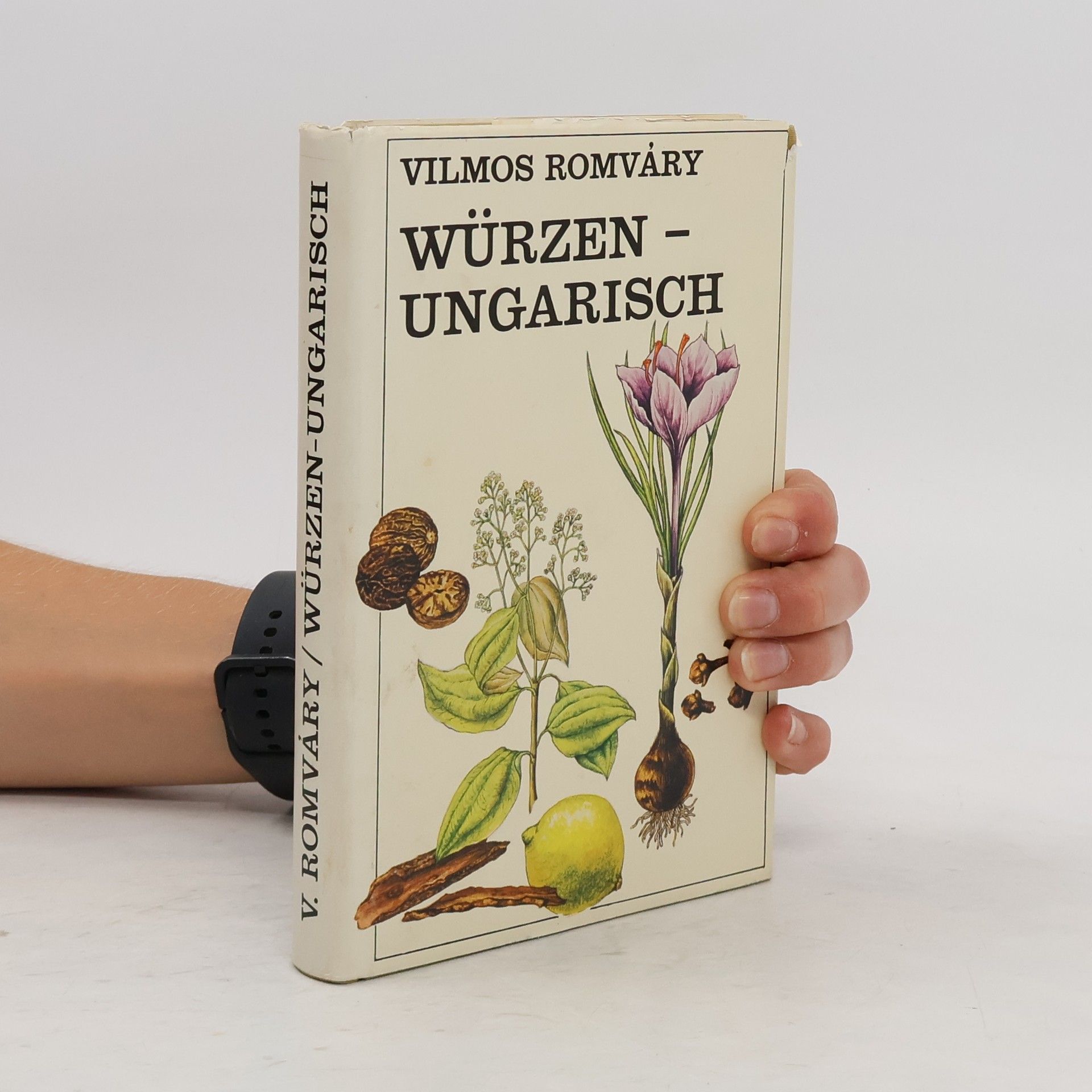 Vilmos Romváry Würzenungarisch
