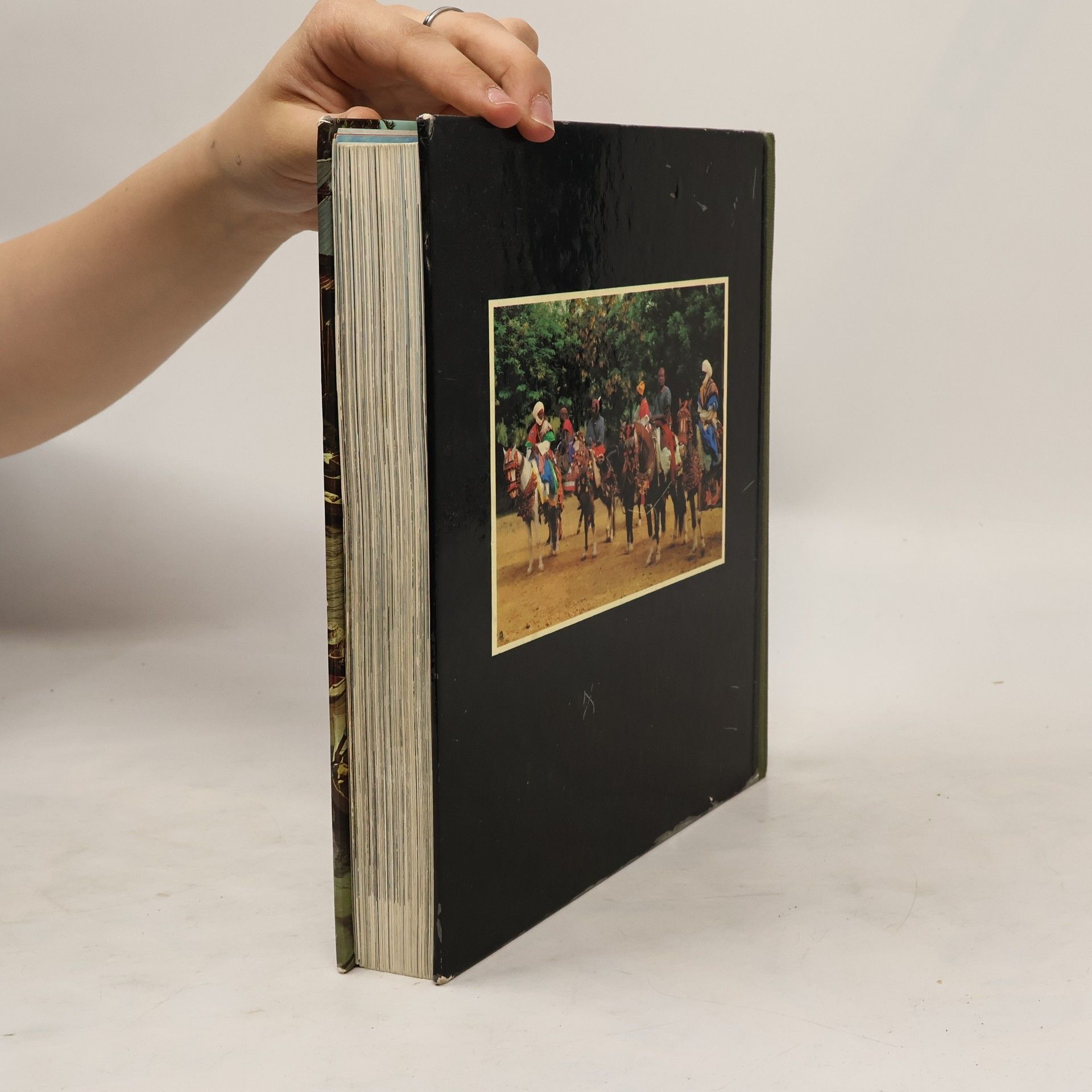 Collectif d'auteurs Reader's Digest Reise um die Welt