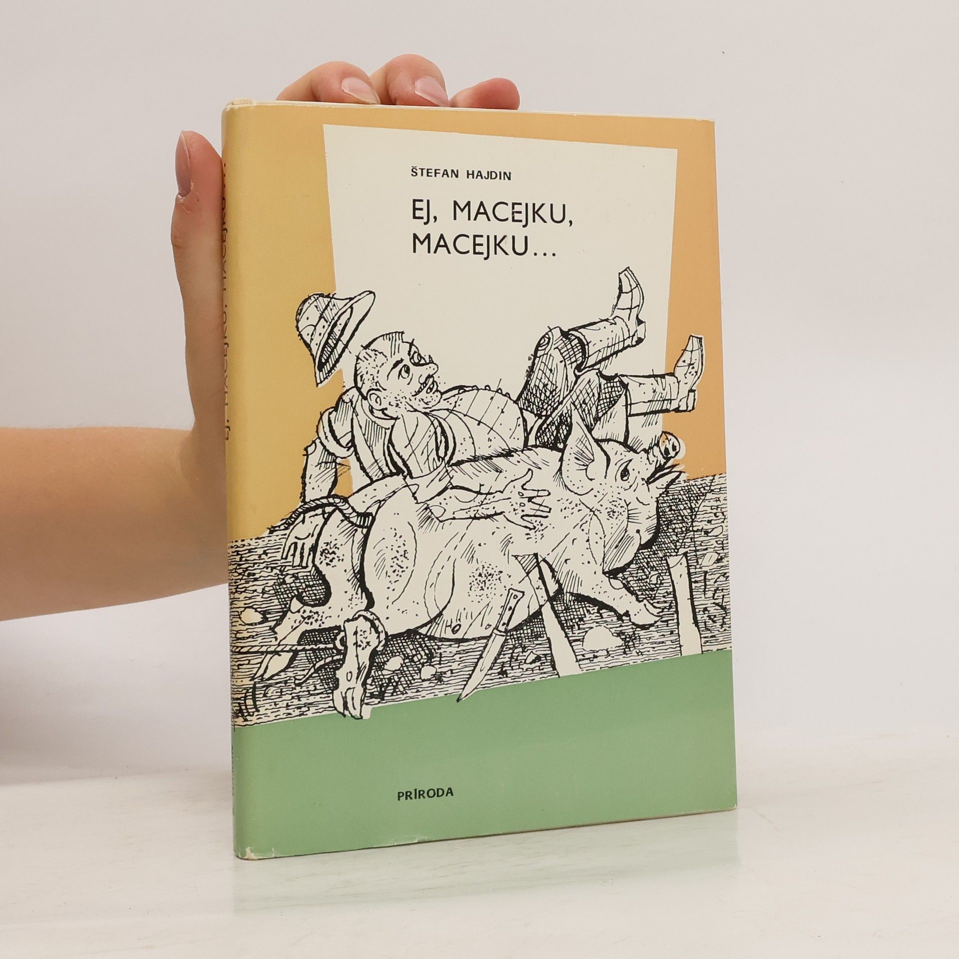 Štefan Hajdin Ej, Macejku, Macejku