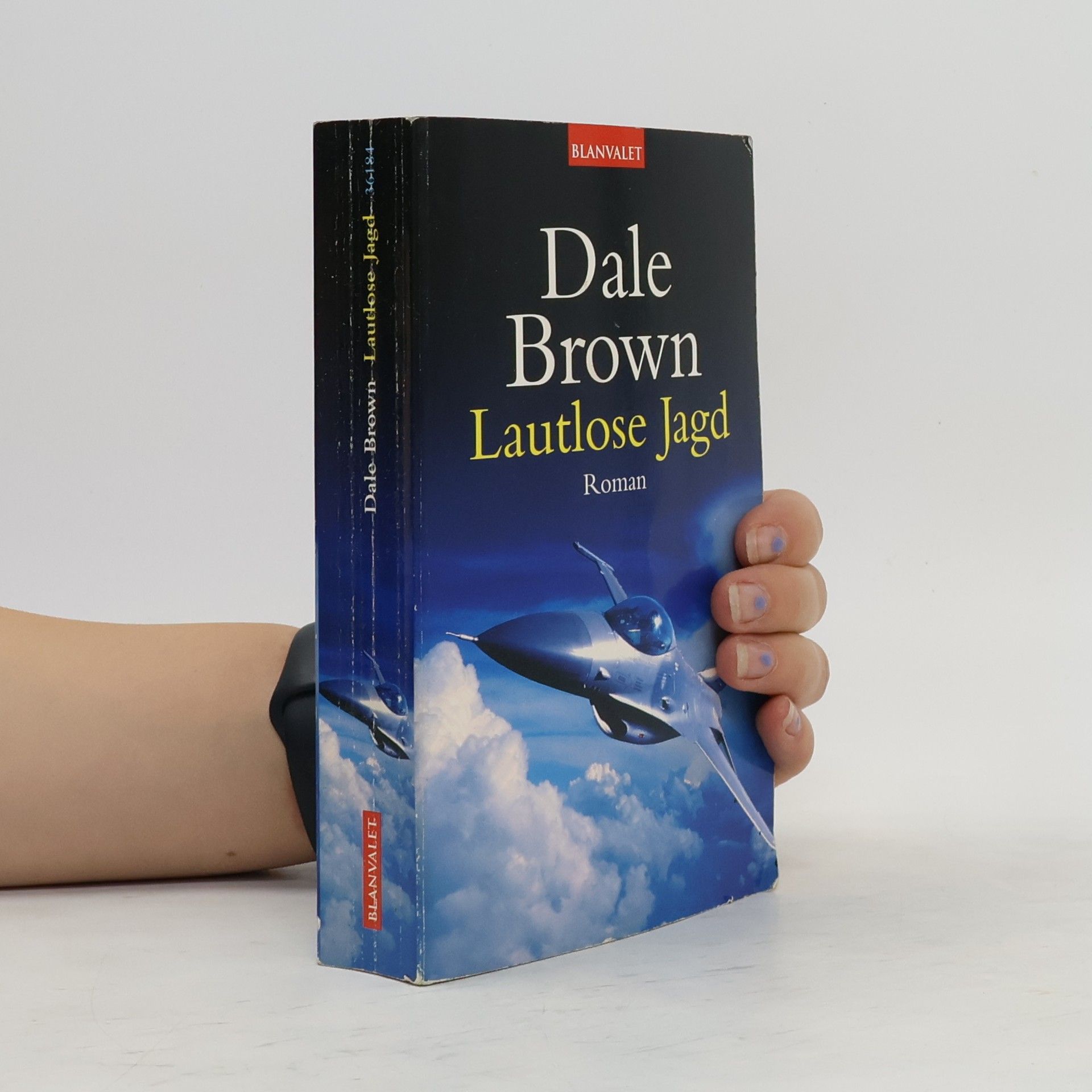 Dale Brown Lautlose Jagd
