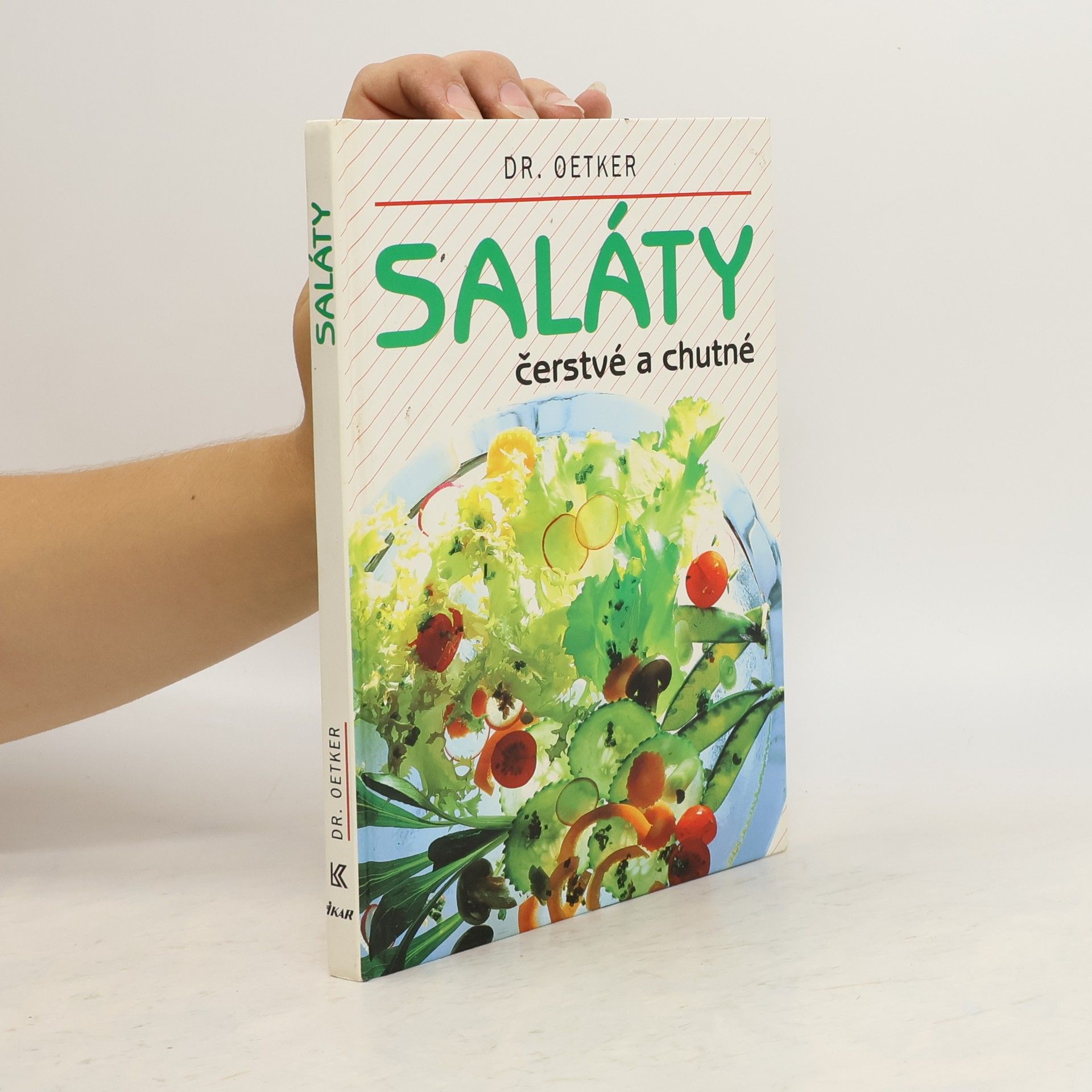 Autores varios Saláty čerstvé a chutné