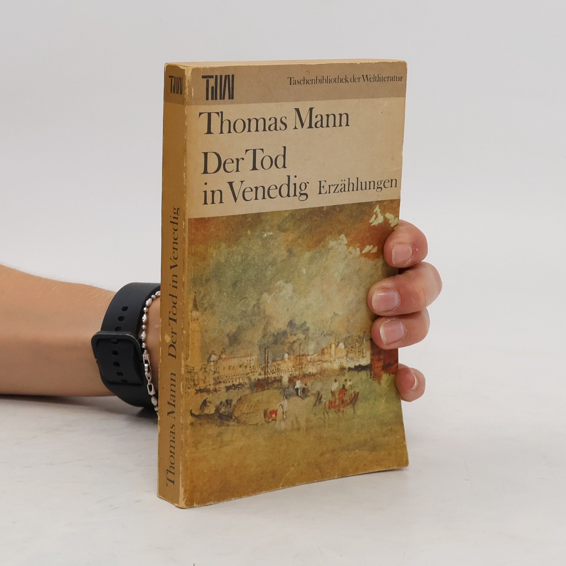 Thomas Mann Der Tod in Venedig. Erzählungen