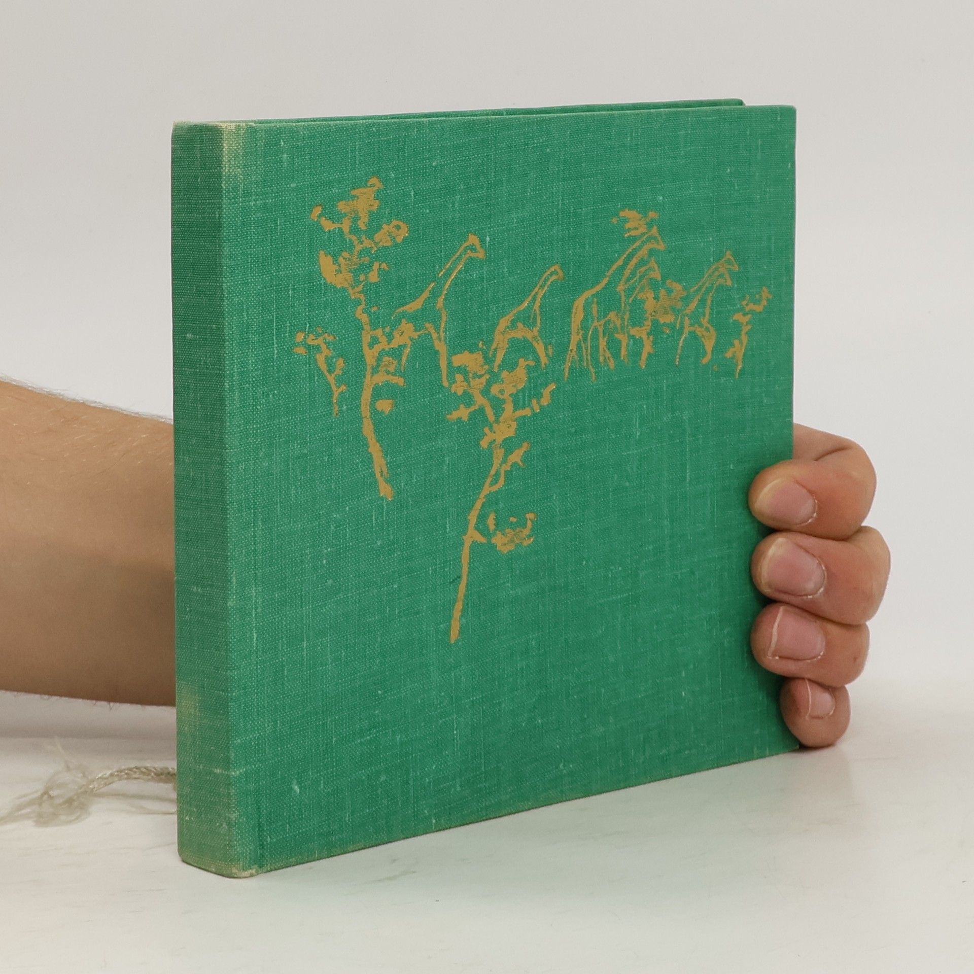 Zdena Vágnerová Sen safari