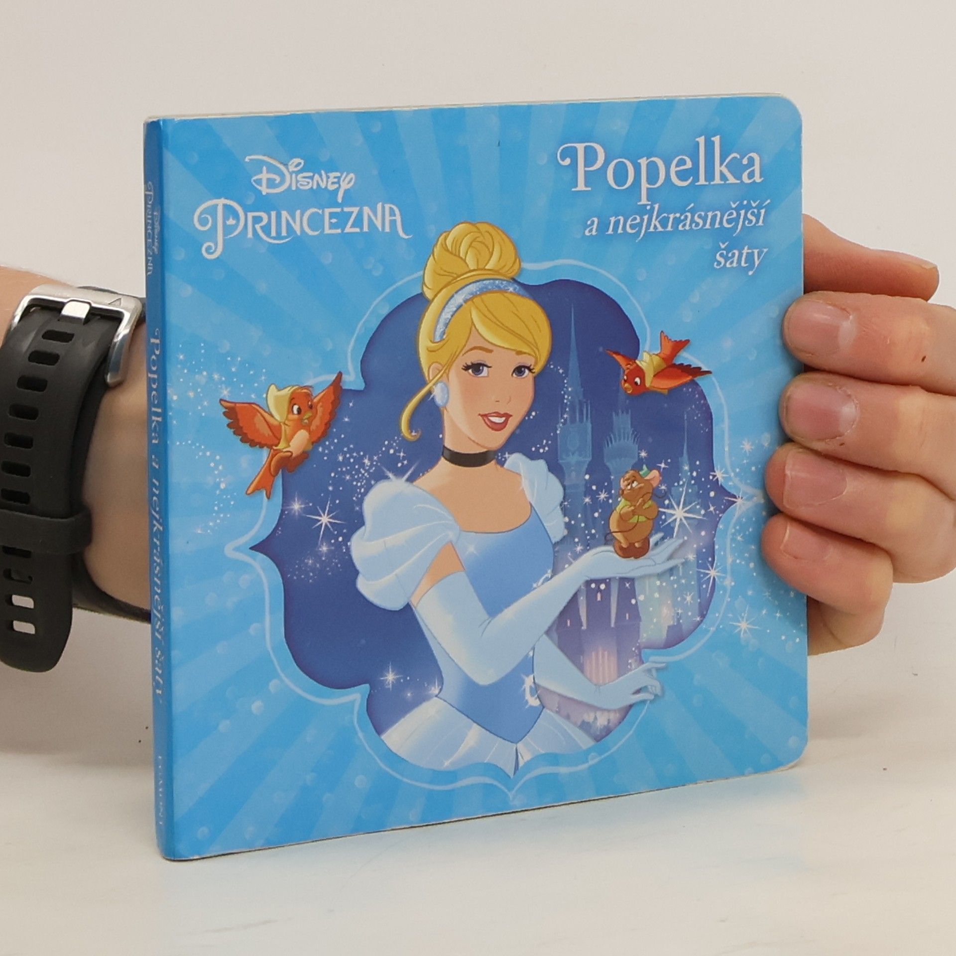 Autores varios Disney princezna. Popelka a nejkrásnějši šaty