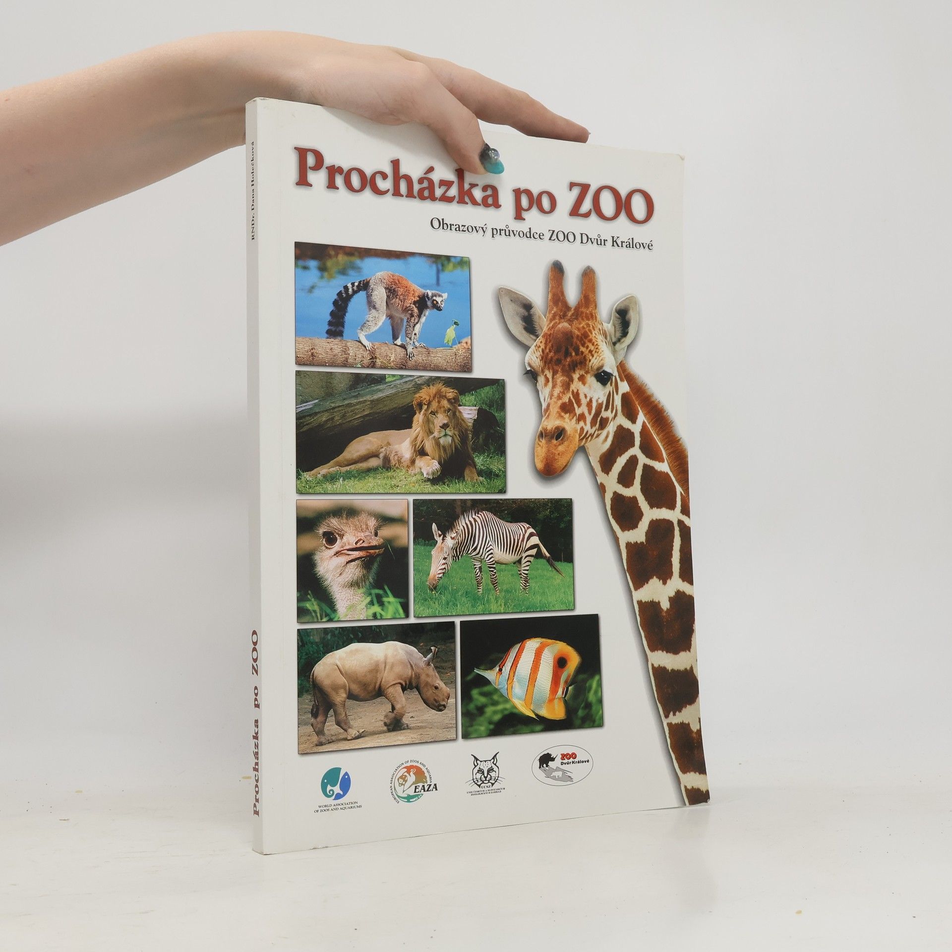 Dana Holečková Procházka po ZOO