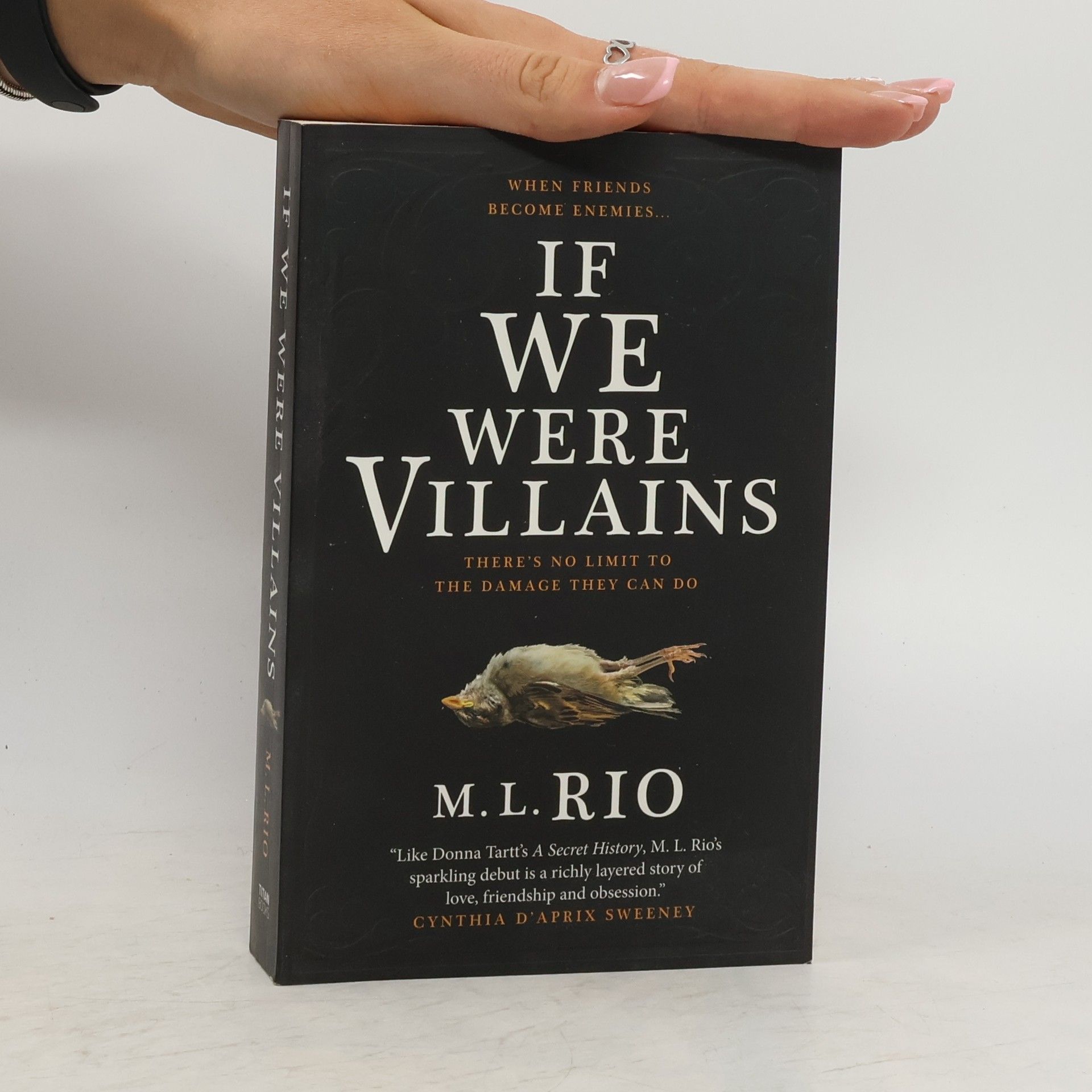 M. L. Rio If We Were Villains