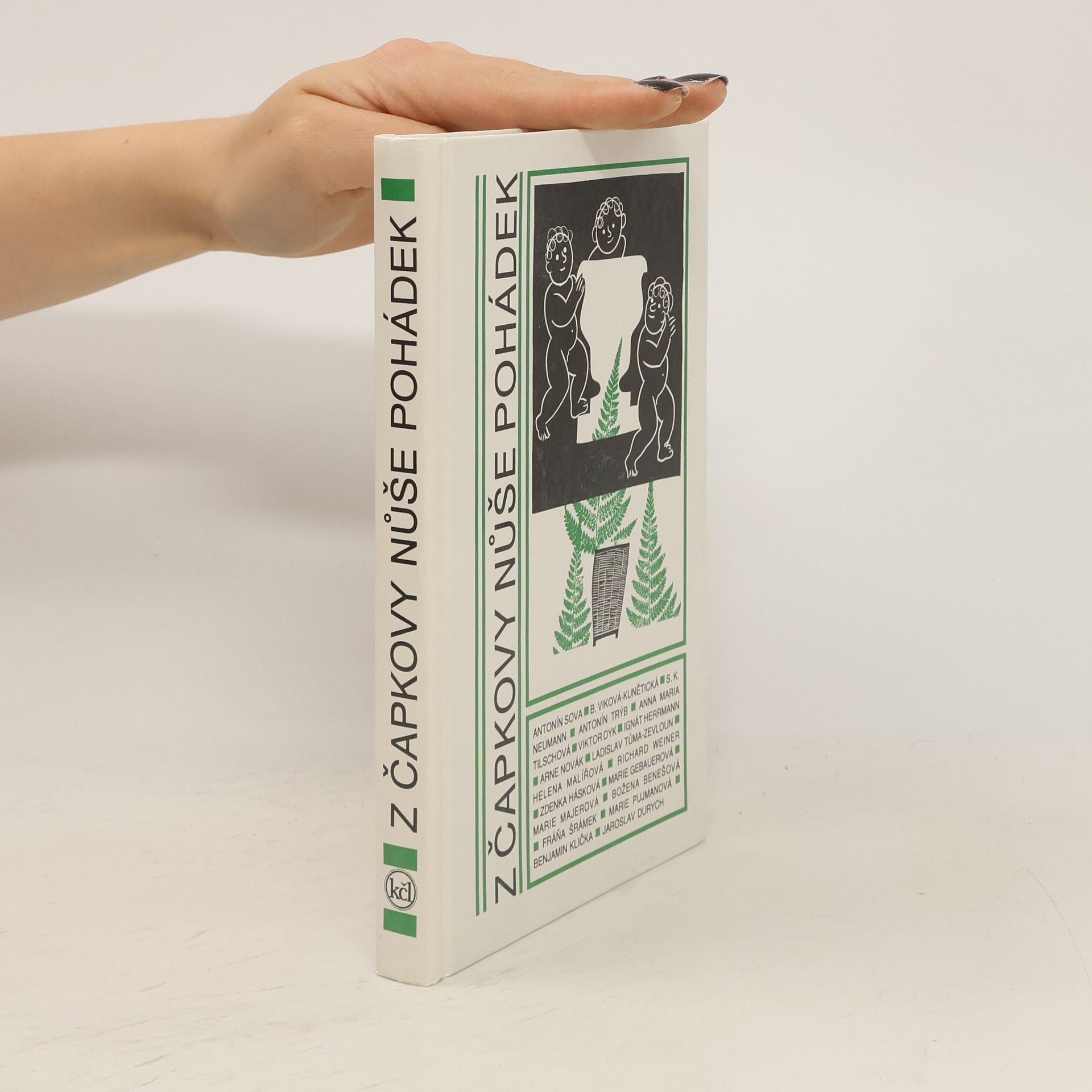 Collectif d'auteurs Z Čapkovy nůše pohádek