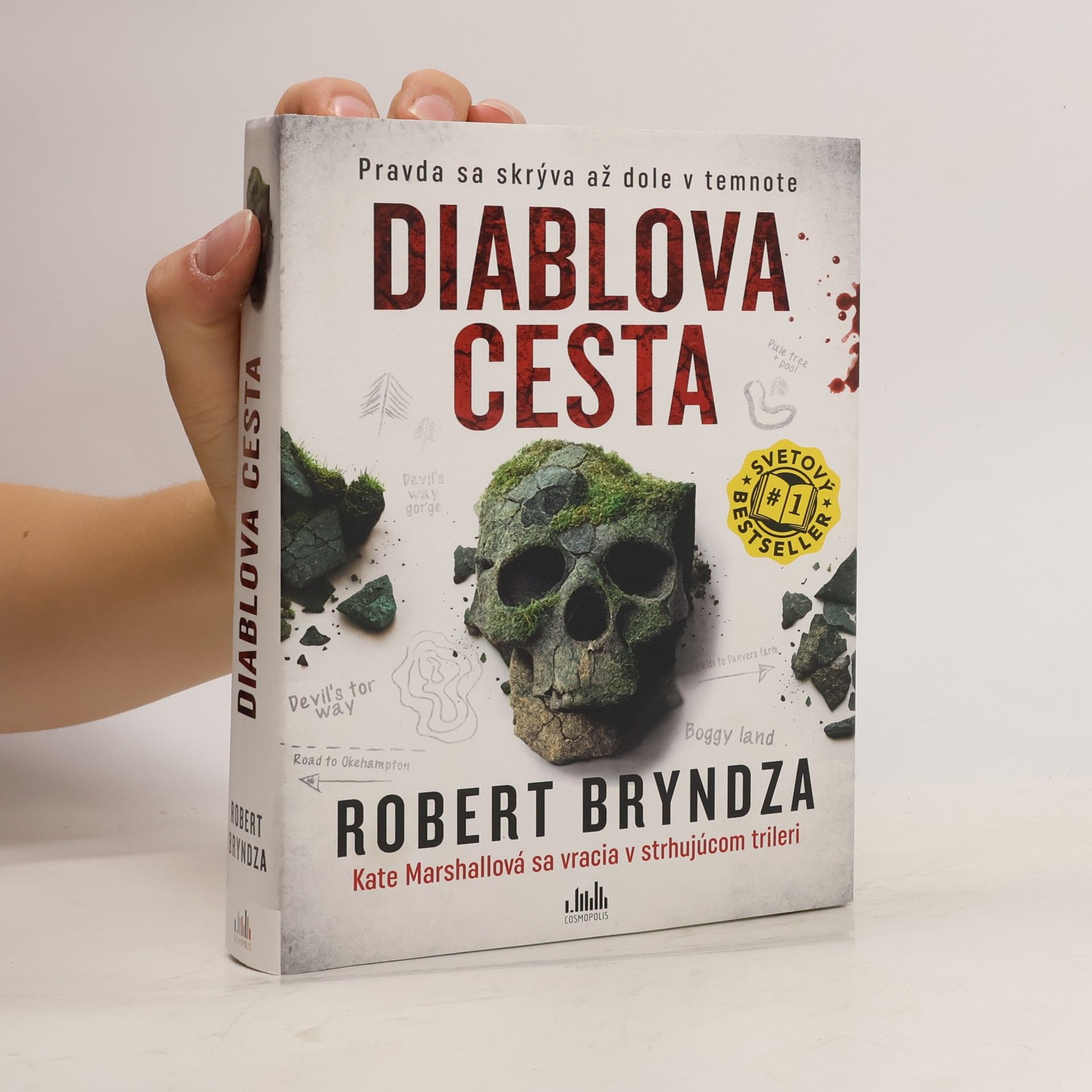 Robert Bryndza Diablova cesta
