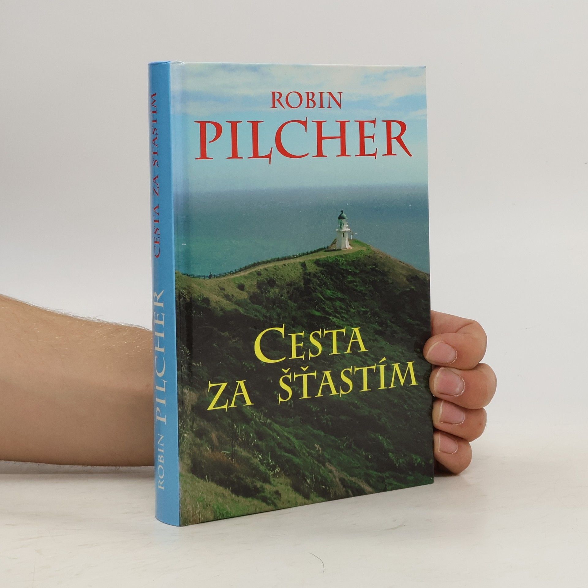 Robin Pilcher Cesta za šťastím