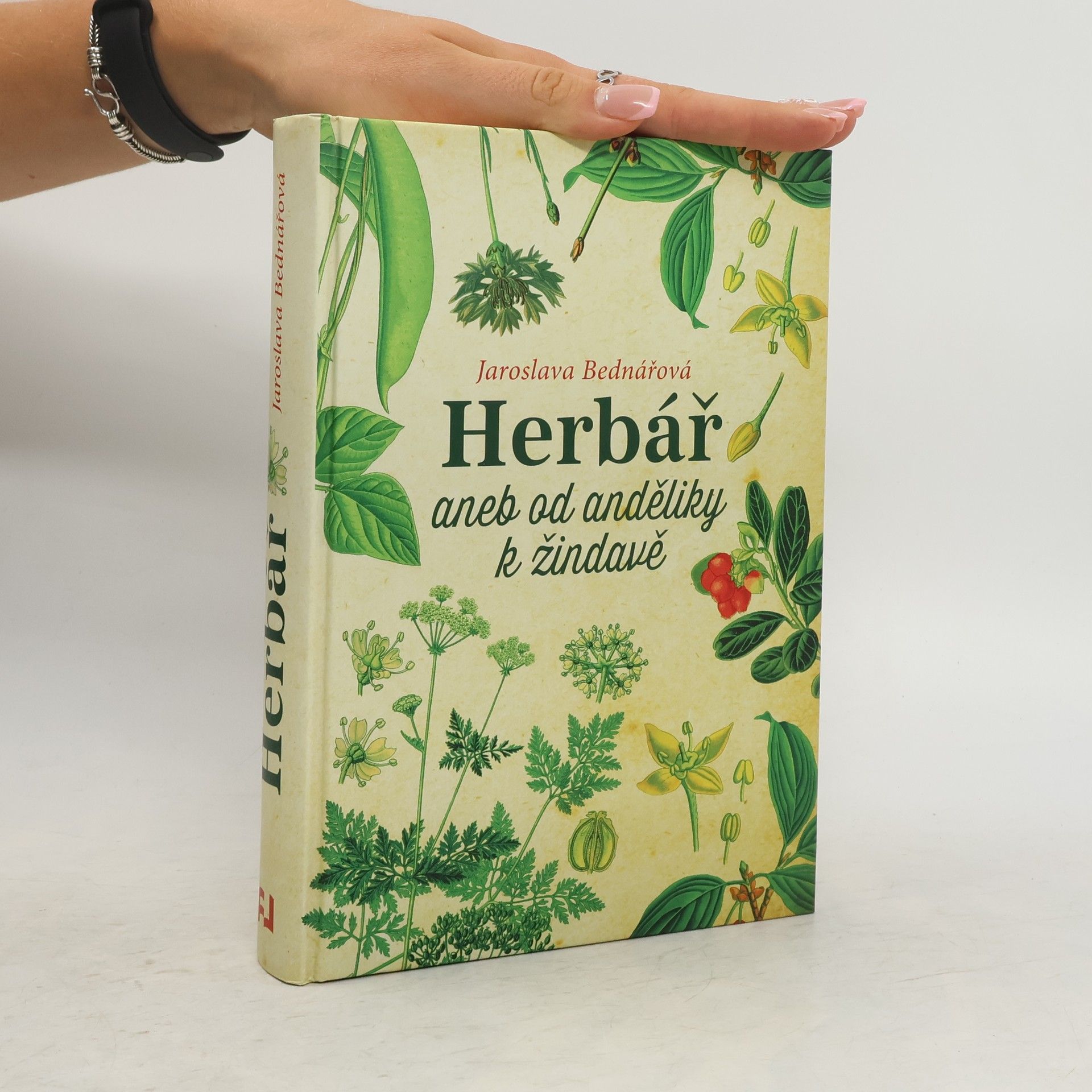 Jaroslava Bednářová Herbář, aneb, Od anděliky k žindavě