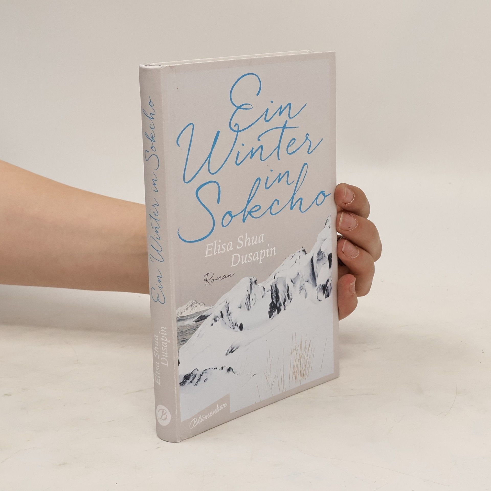 Elisa Shua Dusapin Ein Winter in Sokcho