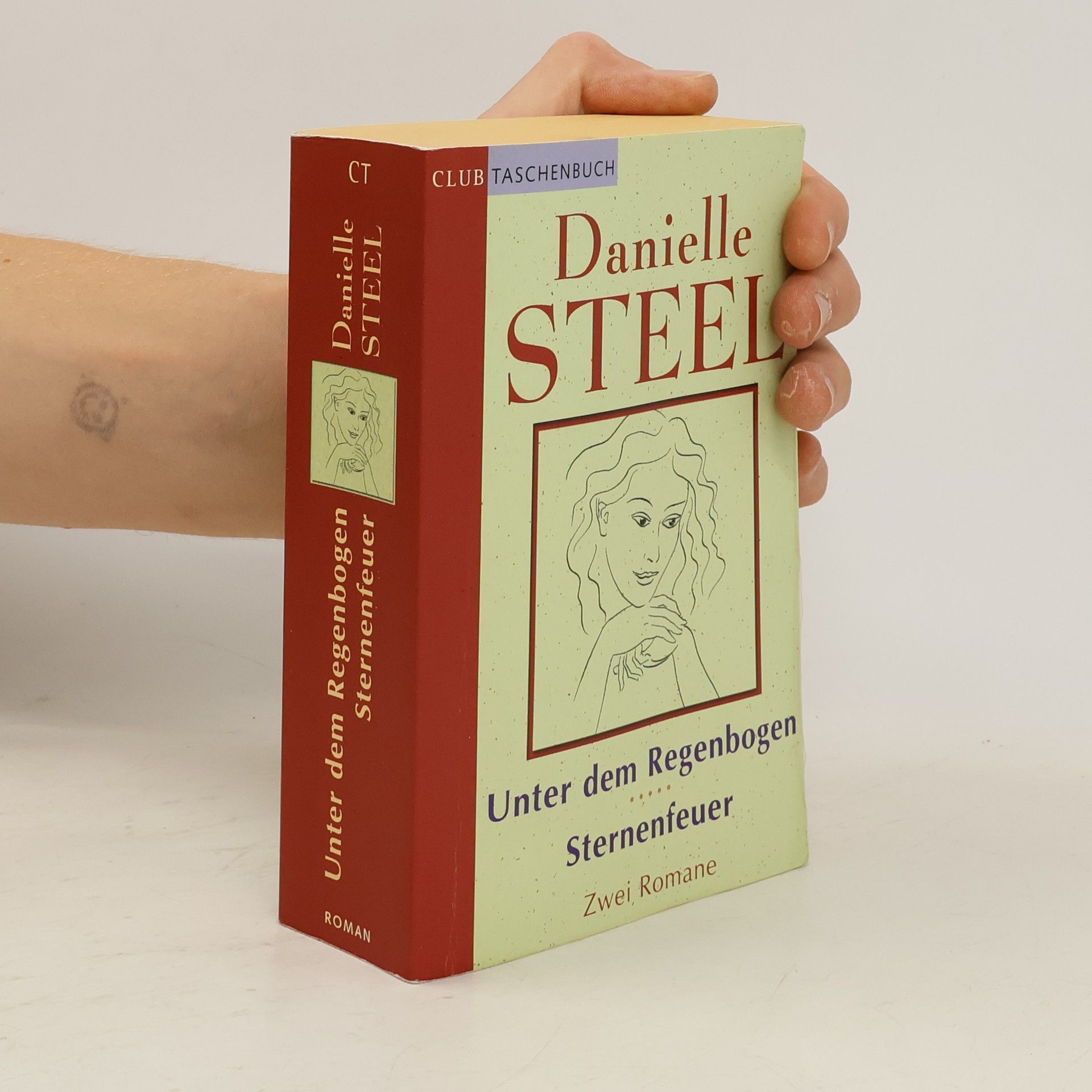 Danielle Steel Unter dem Regenbogen / Sternenfeuer