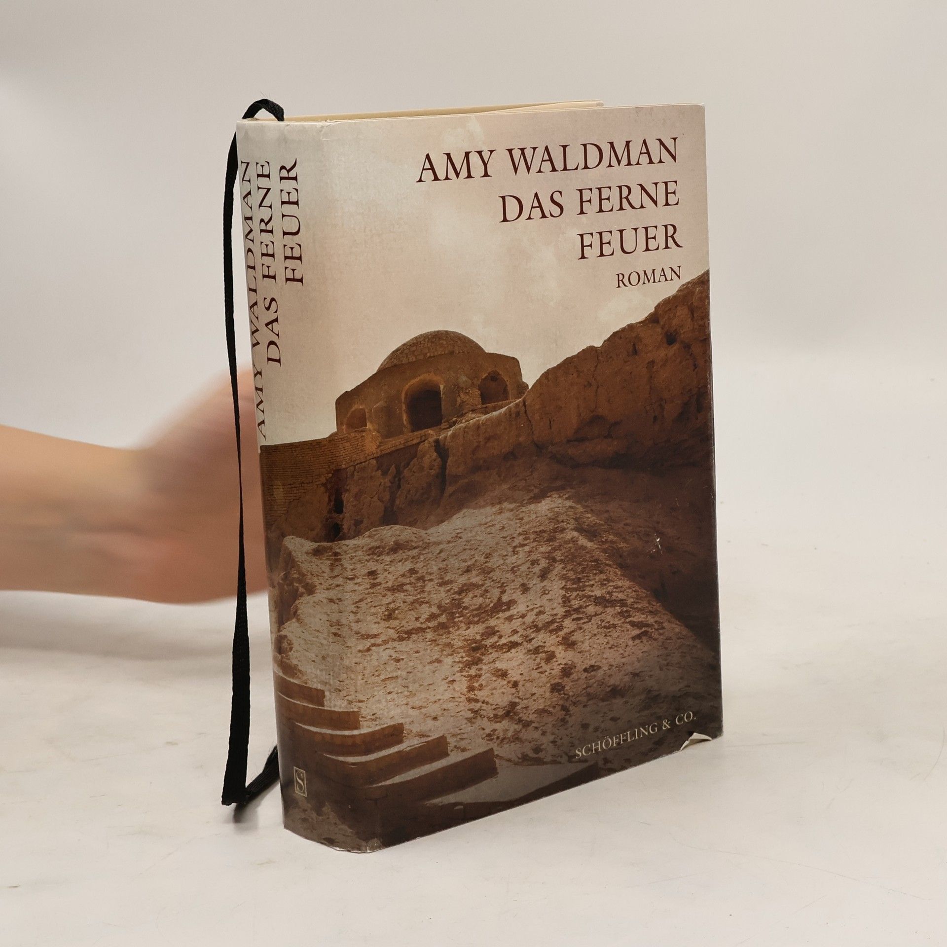 Amy Waldman Das ferne Feuer