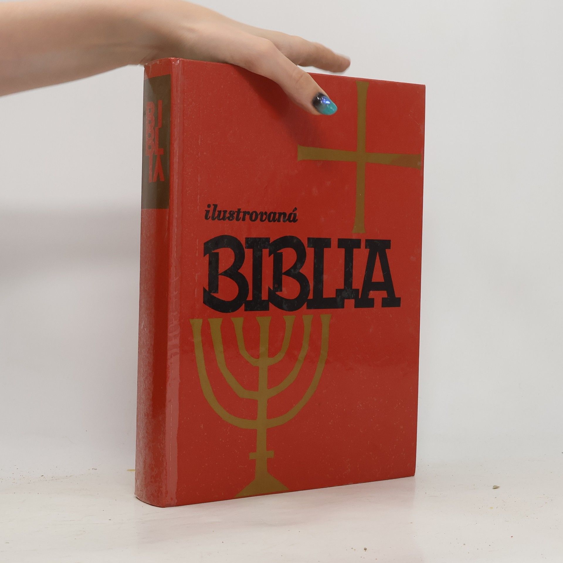 Collectif d'auteurs Ilustrovaná biblia : Výber statí s farebnými obrázkami