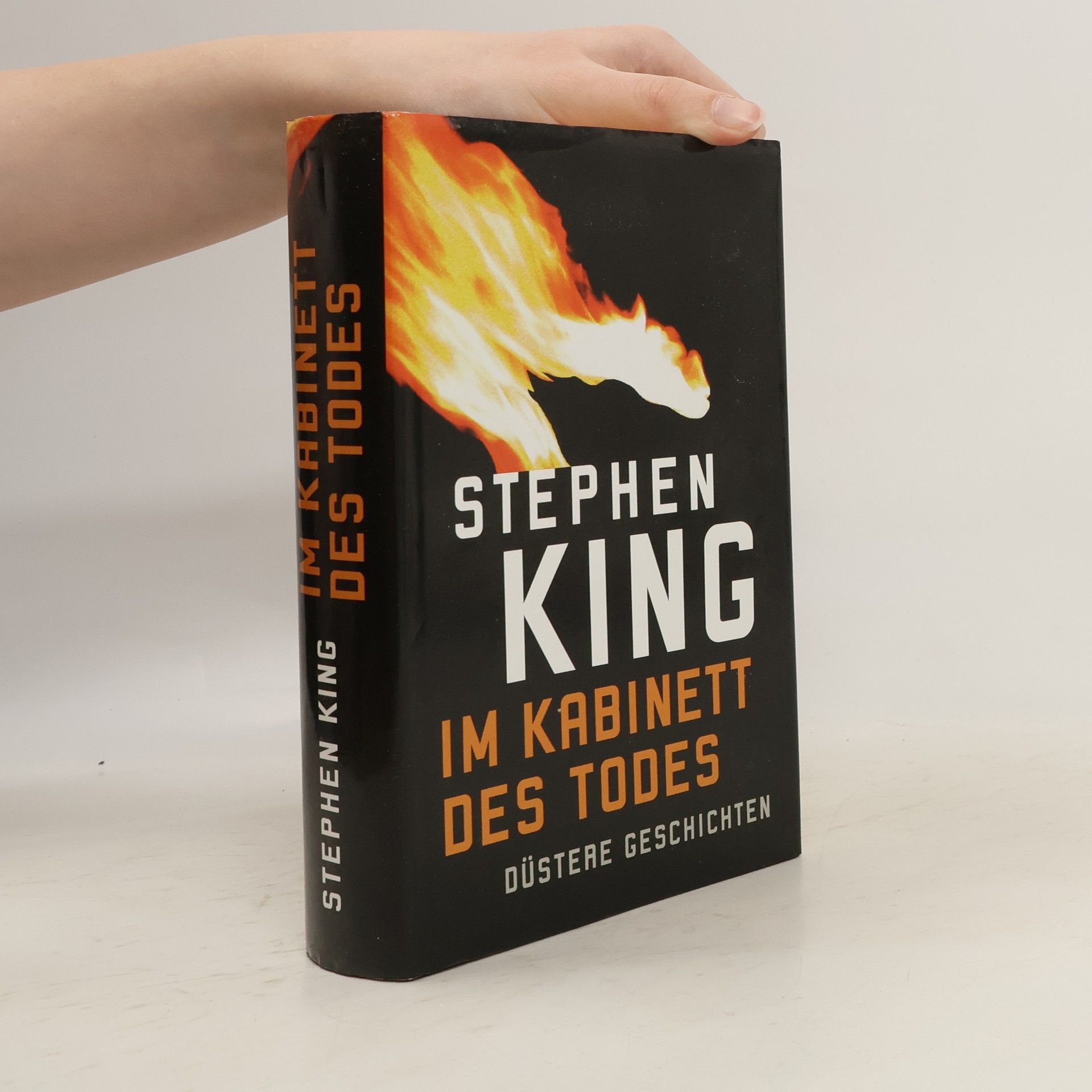 Stephen King Im Kabinett des Todes