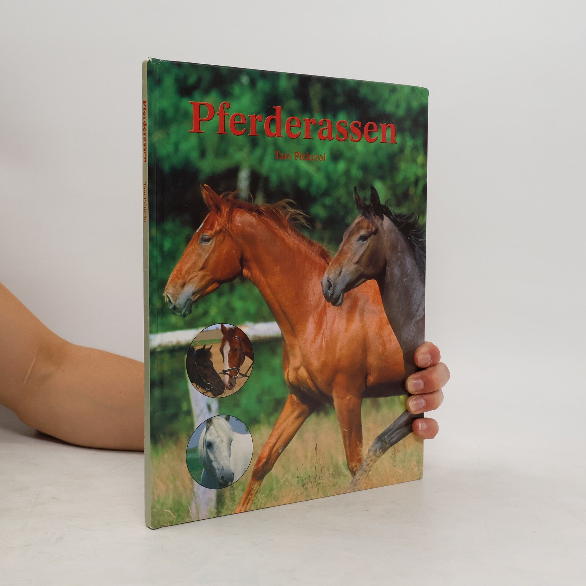 Tam Pickeral Pferderassen