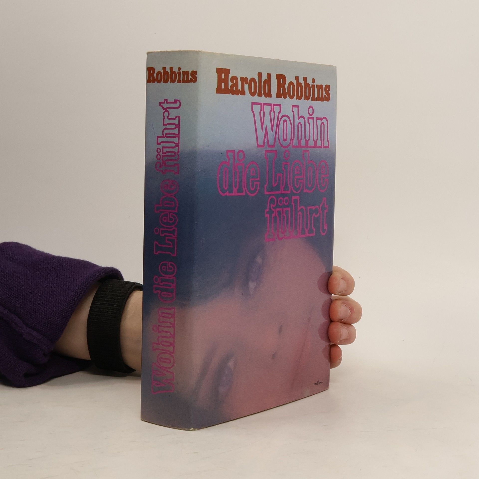 Harold Robbins Wohin die Liebe führt