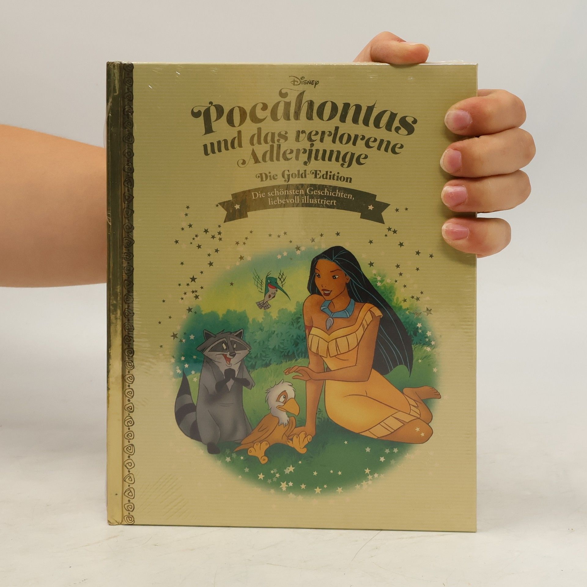 Collectif d'auteurs Pocahontas und das verlorene Adlerjunge
