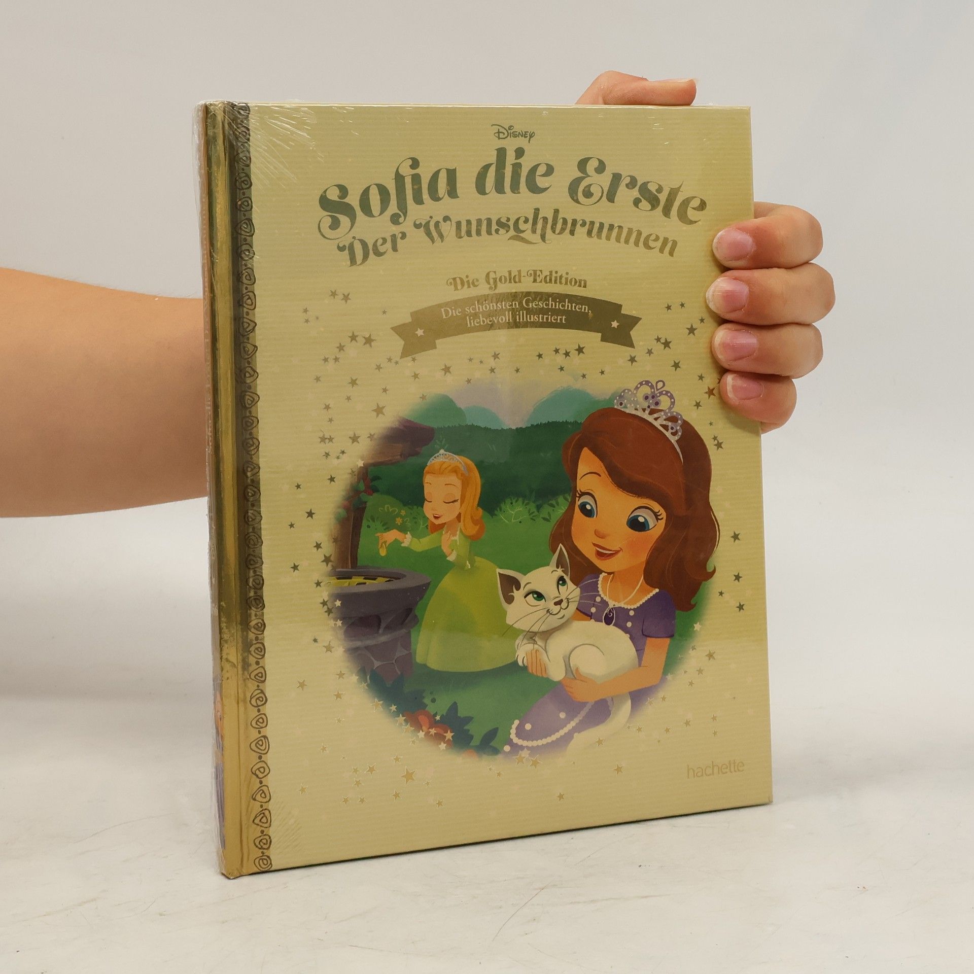 Autorenkollektiv Sofia die Erste. Der Wunschbrunnen