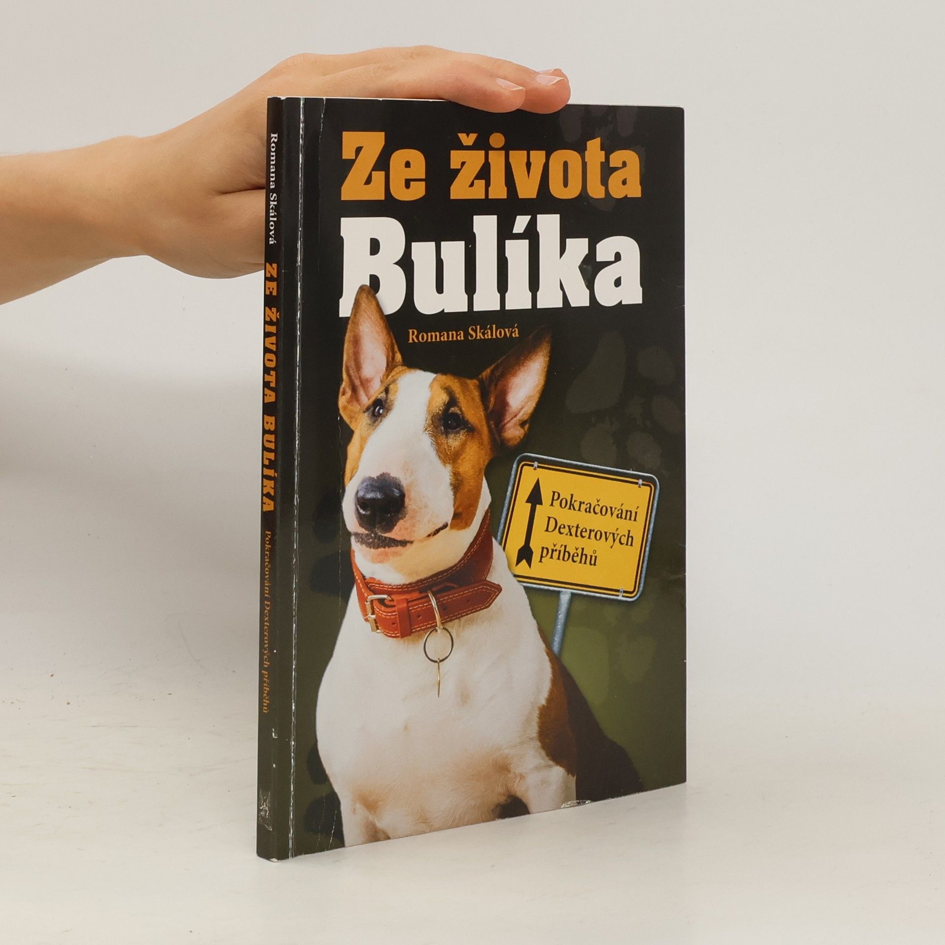 Romana Skálová Ze života Bulíka - Pokračování Dexterových příběhů