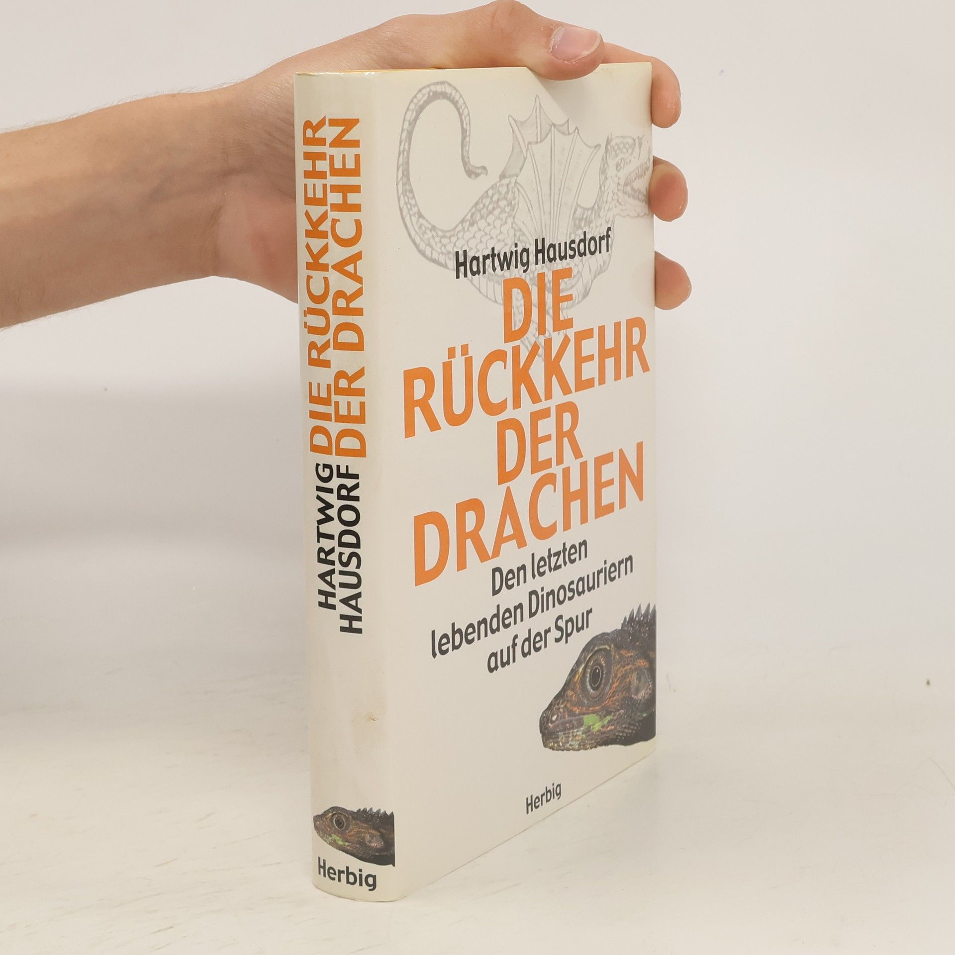 Hartwig Hausdorf Die Rückkehr der Drachen