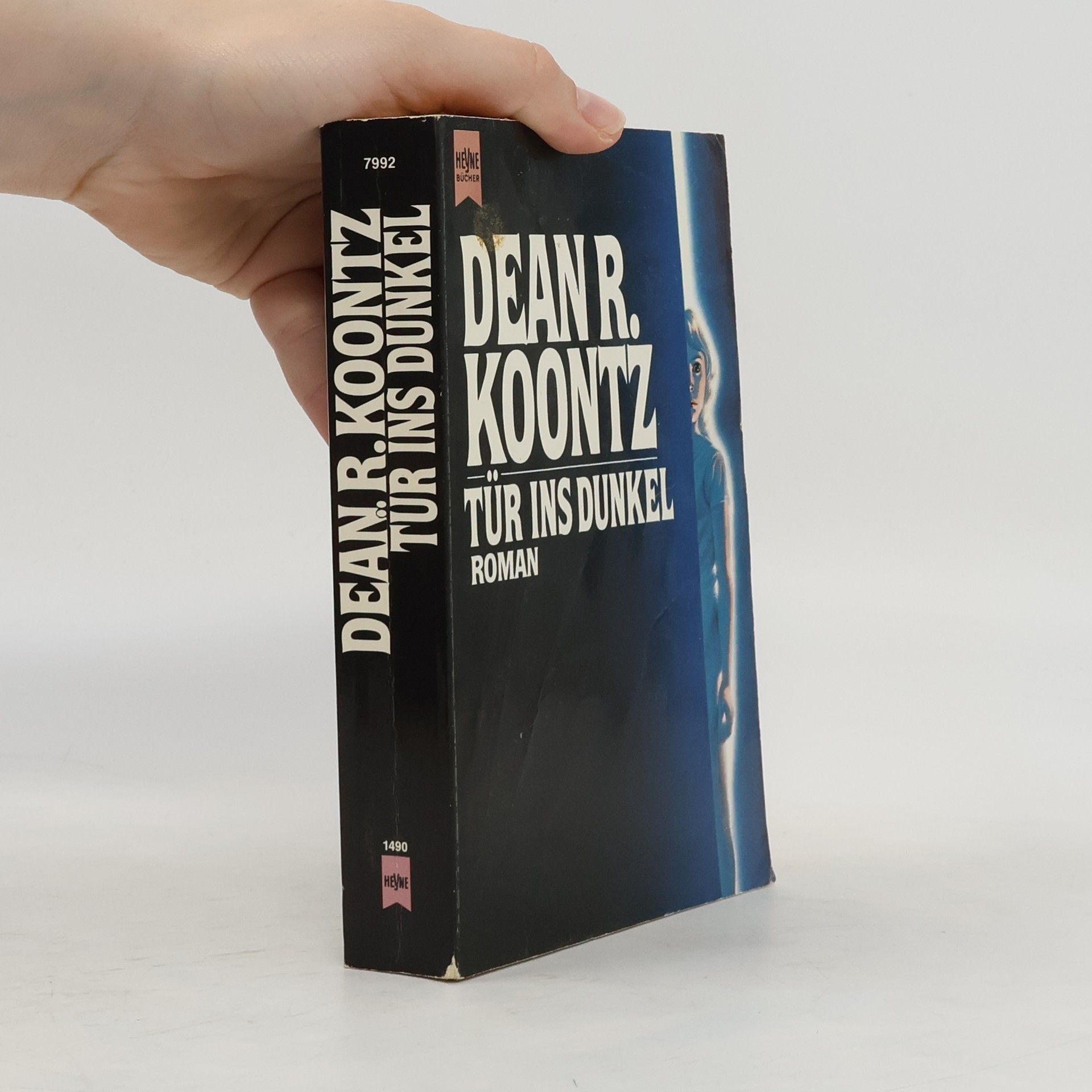 Dean R. Koontz Tür ins Dunkel