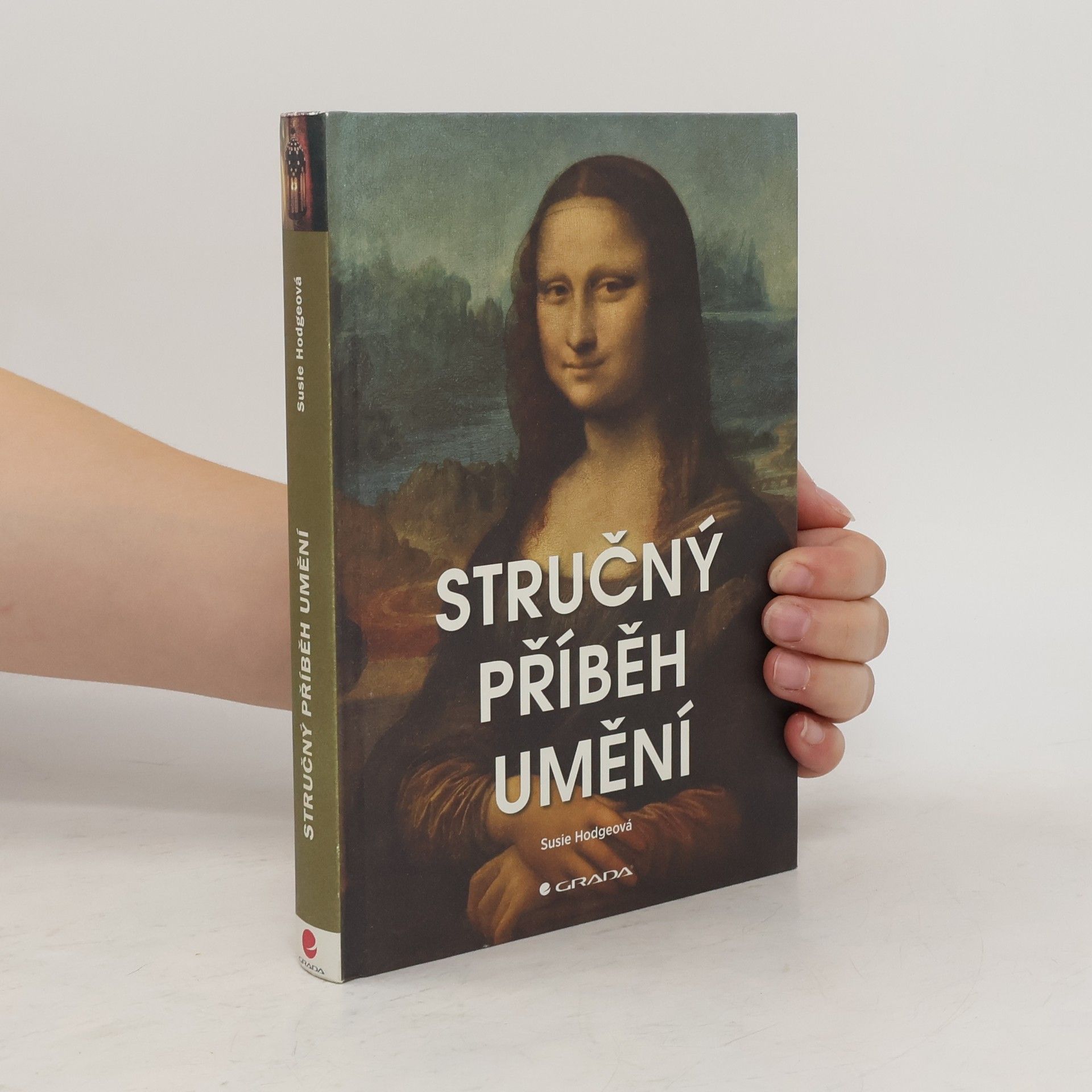 Susie Hodge Stručný příběh umění