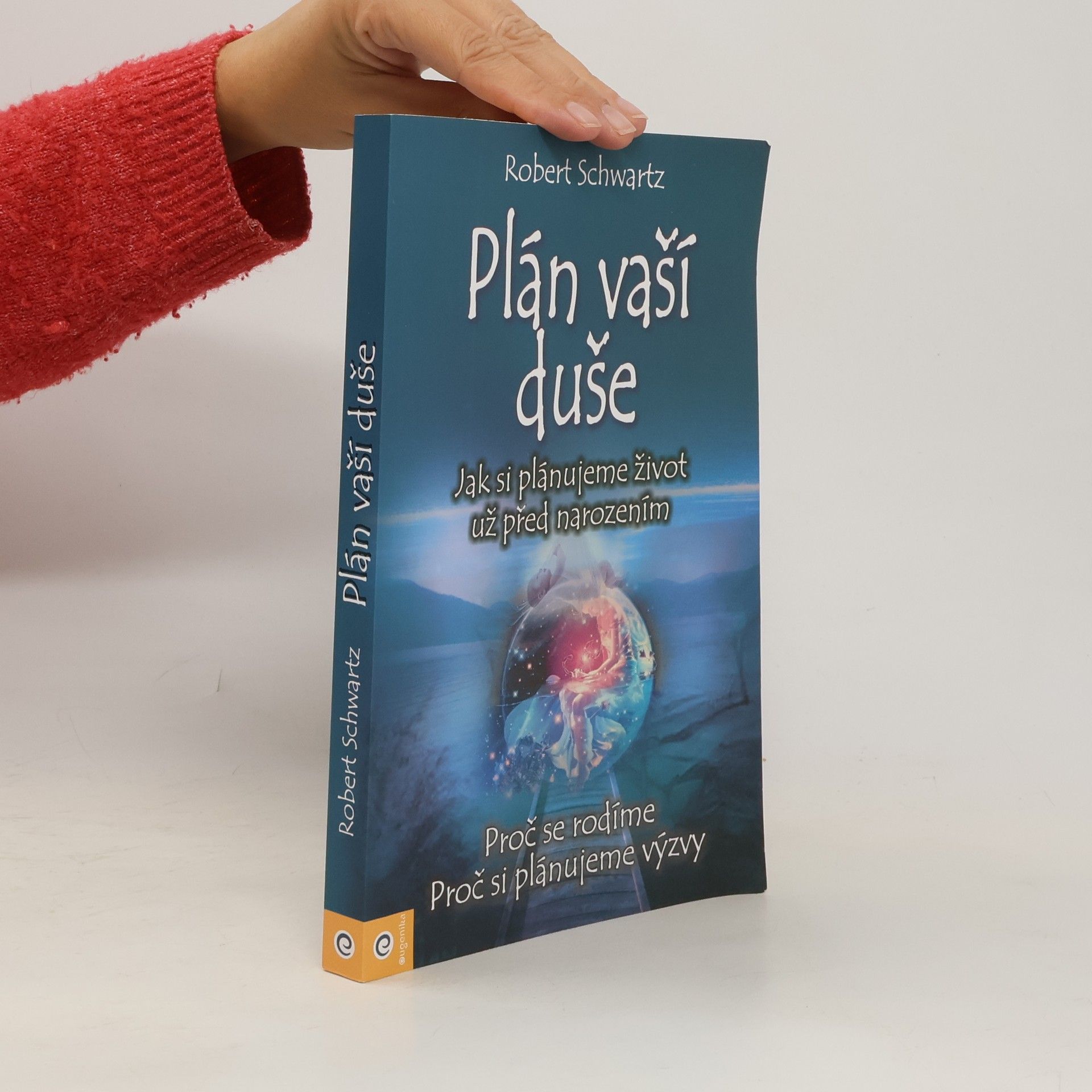 Robert Schwartz Plán vaší duše. Jak si plánujeme život už před narozením