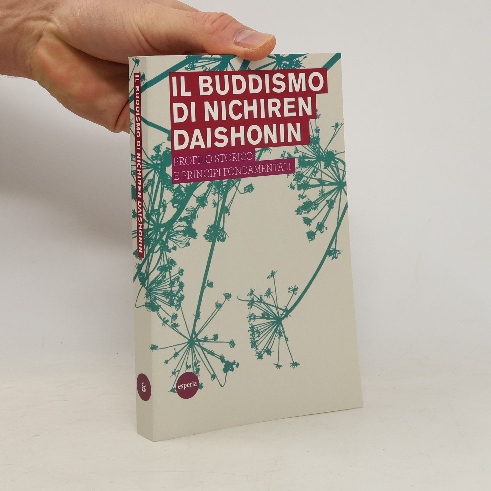 Collectif d'auteurs Il buddismo di Nichiren Daishonin