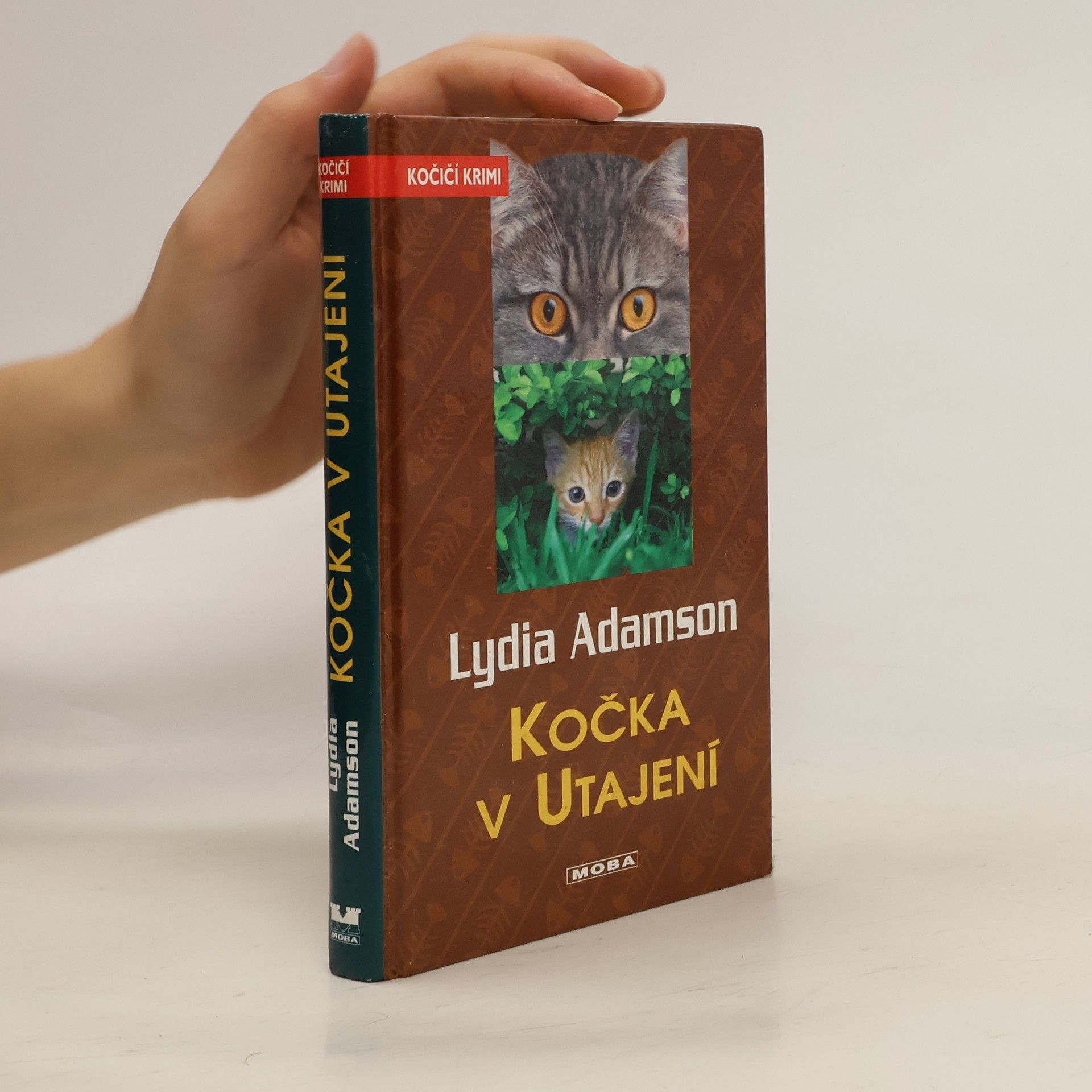 Lydia Adamson Kočka v utajení