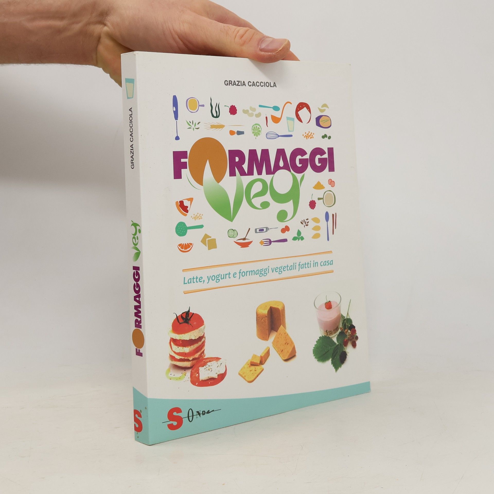 Formaggi veg. Latte, yogurt e formaggi vegetali fatti in casa