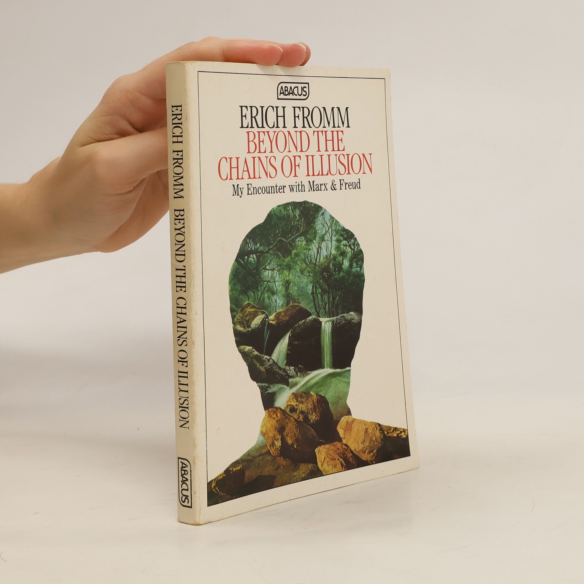 Erich Fromm Beyond the Chains of Illusion