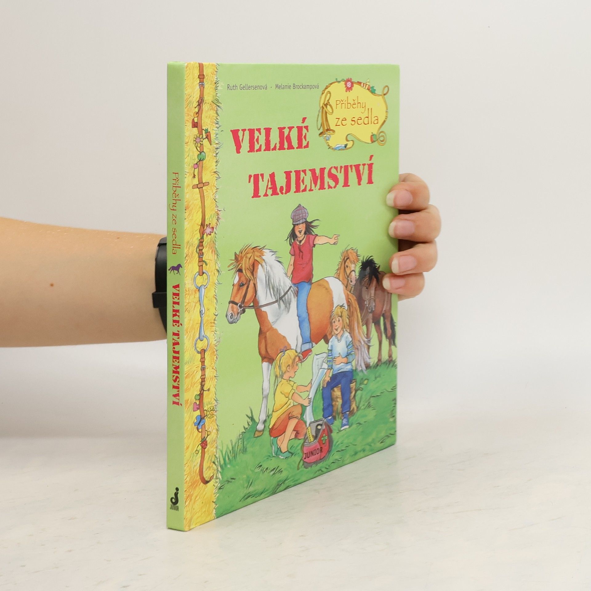 Ruth Gellersen Příběhy ze sedla. Velké tajemství