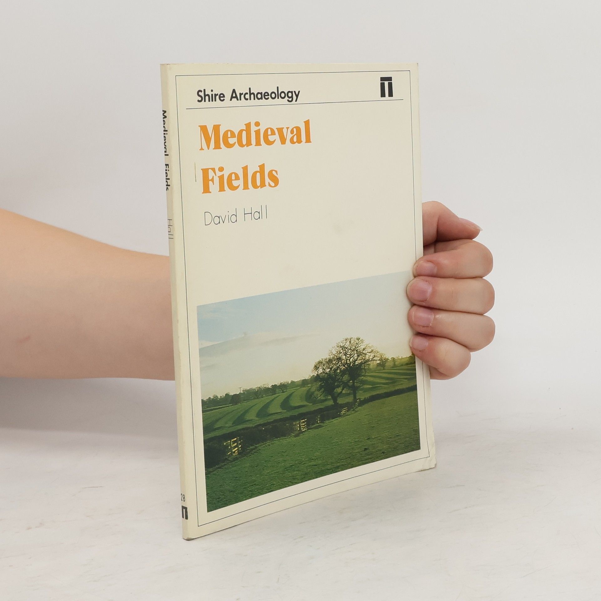 David Hall Medieval Fields