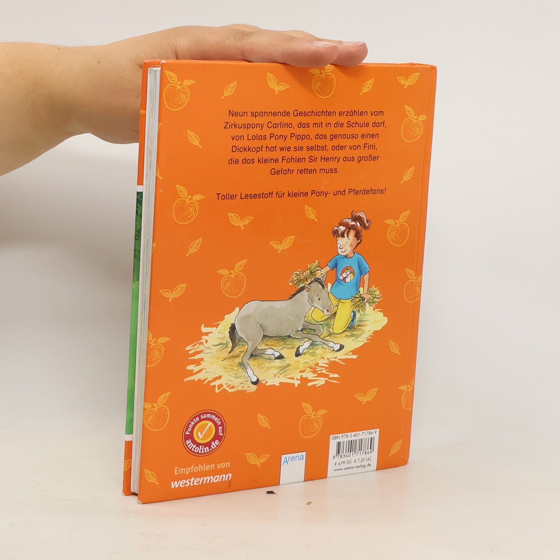 Autorenkollektiv Die schönsten Ponyhofgeschichten für Erstleser